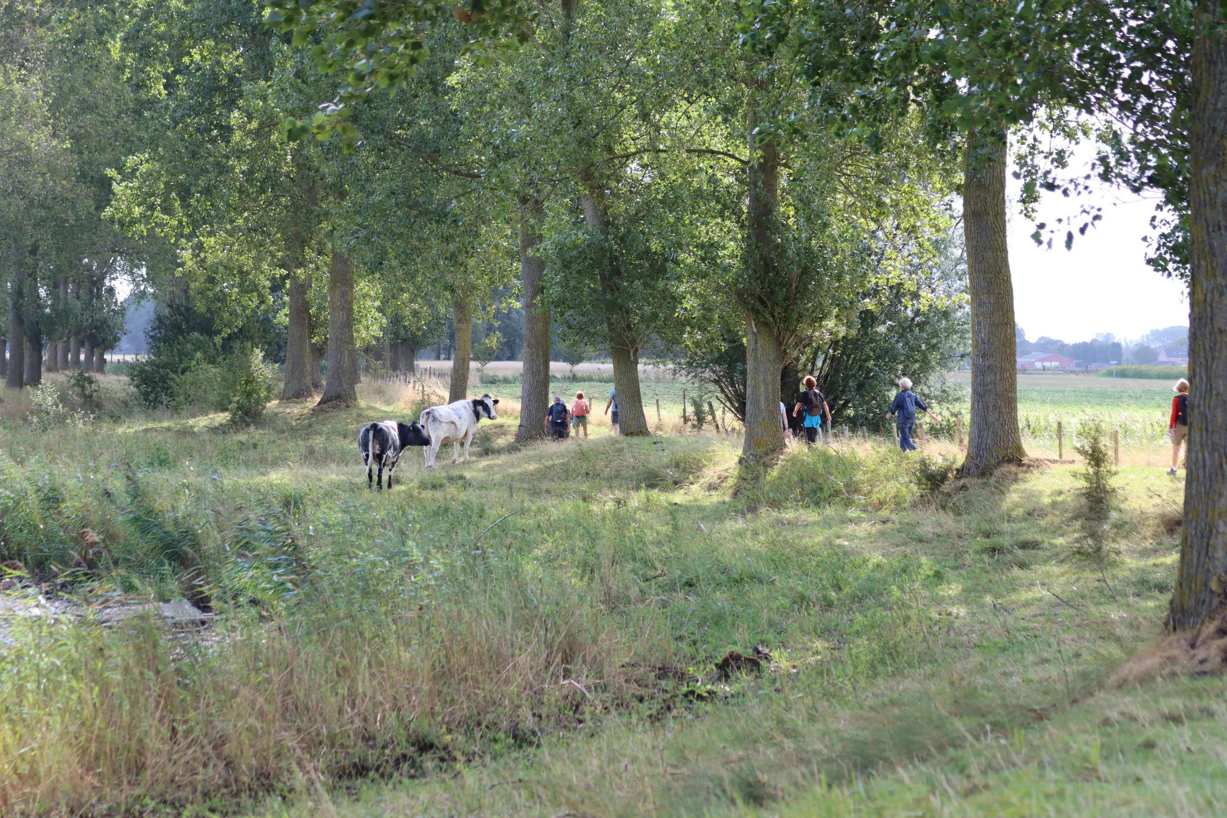 ROKZ Wandelweekend dag 3 30 augustus 2026