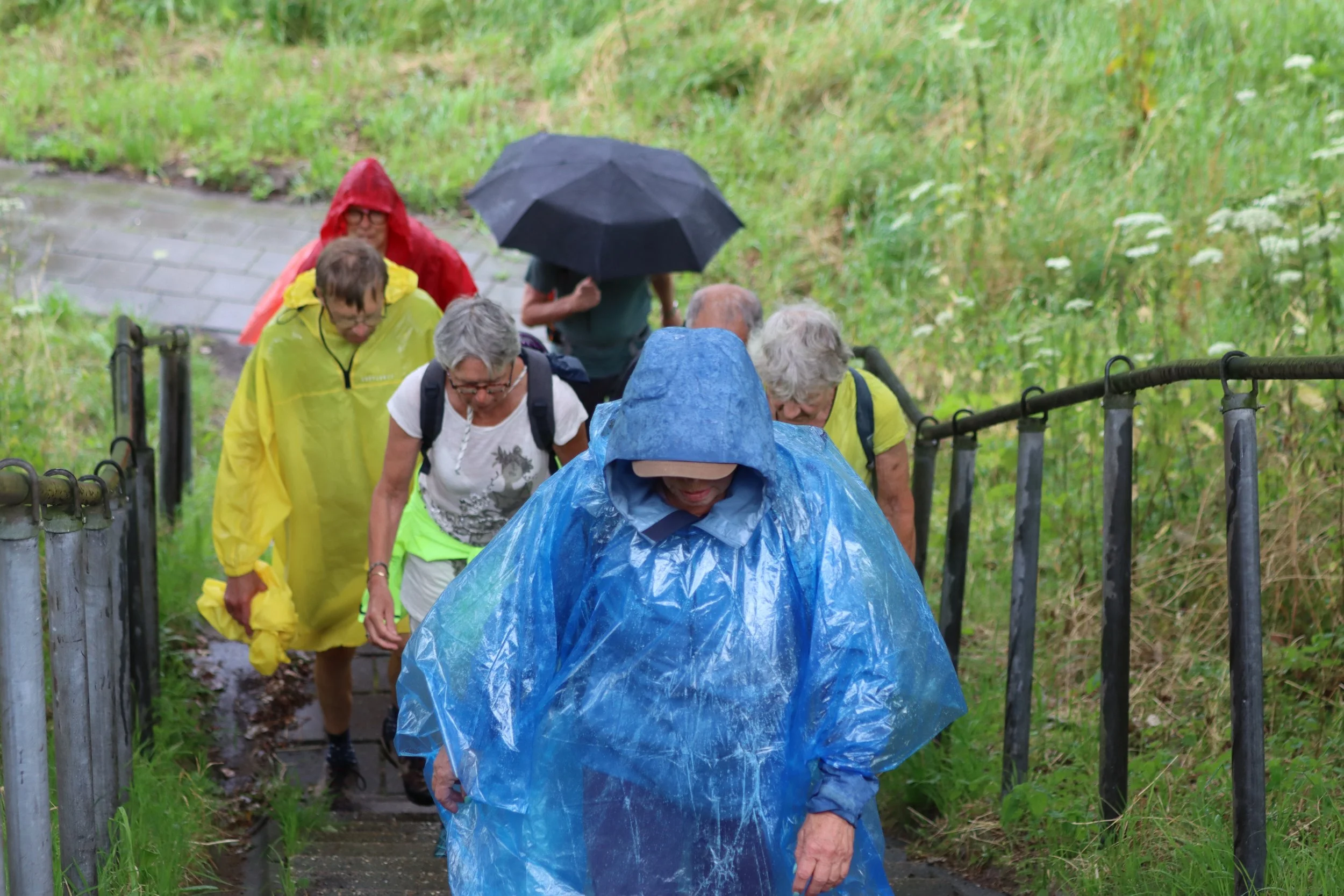 Diemerbos 21 juli 2024