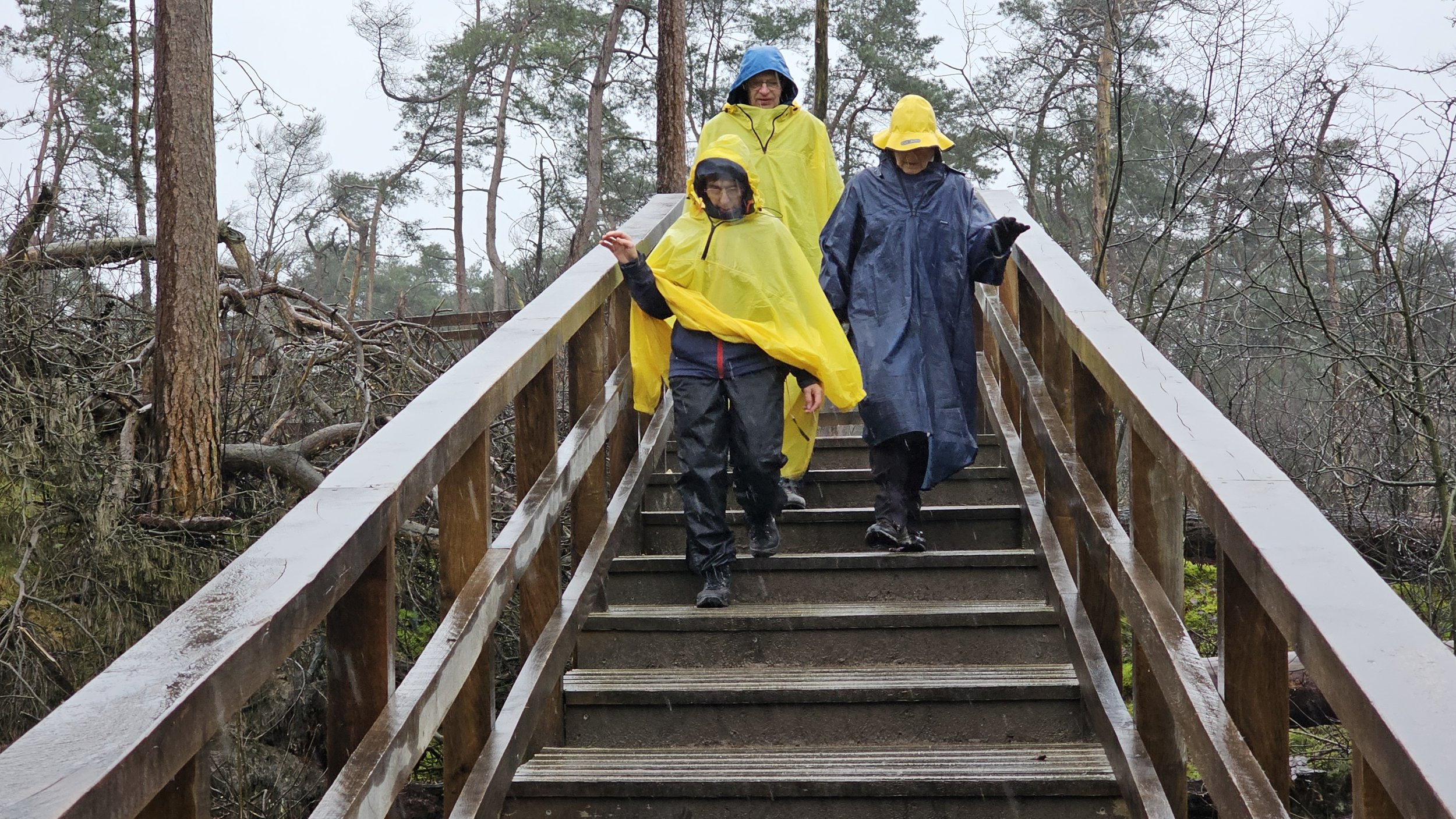 Leersum stormpad 18 februari 2024