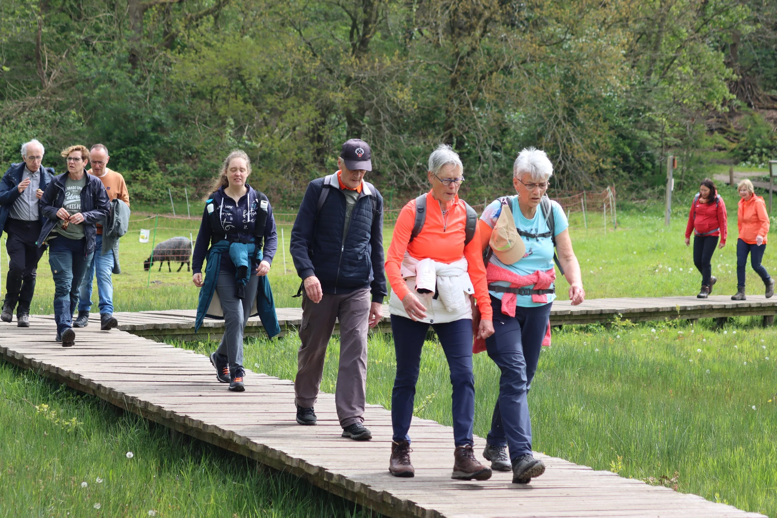 KONINGSWANDELING 27 APRIL 2024