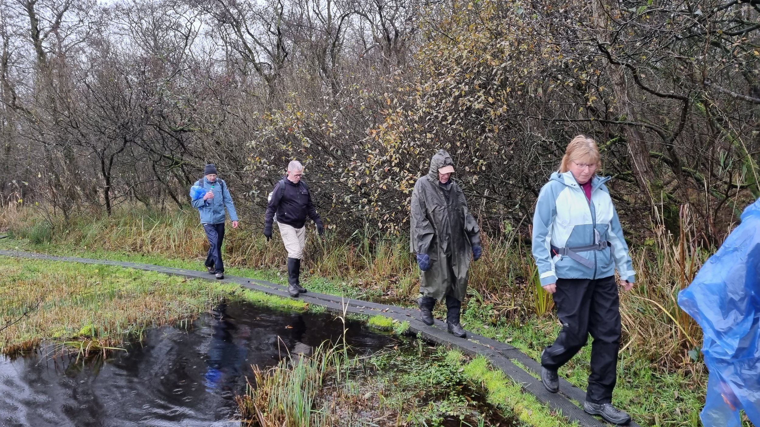 Naardermeer 27 november 2022