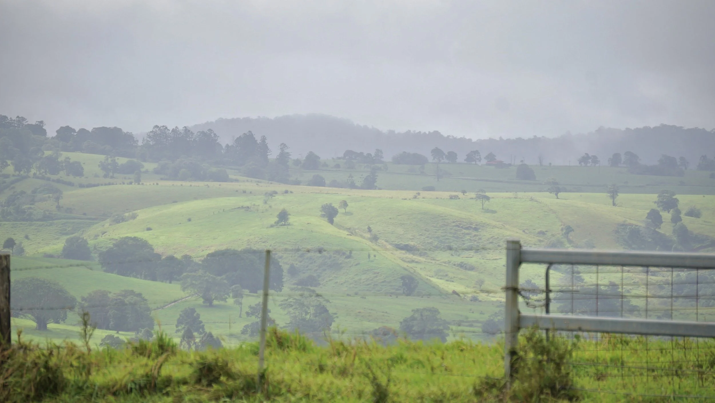Green rolling hills with scattered trees under a cloudy sky, partly obscured by fog in the distance.
