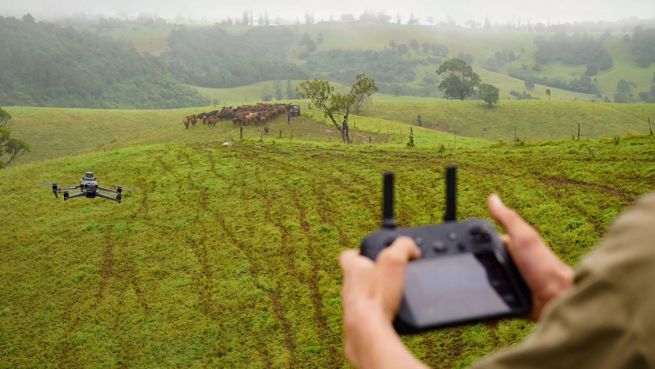 A person operating a drone with a camera over green agricultural fields, with a drone flying in the foreground and a herd of cattle grazing on a hillside in the distance.