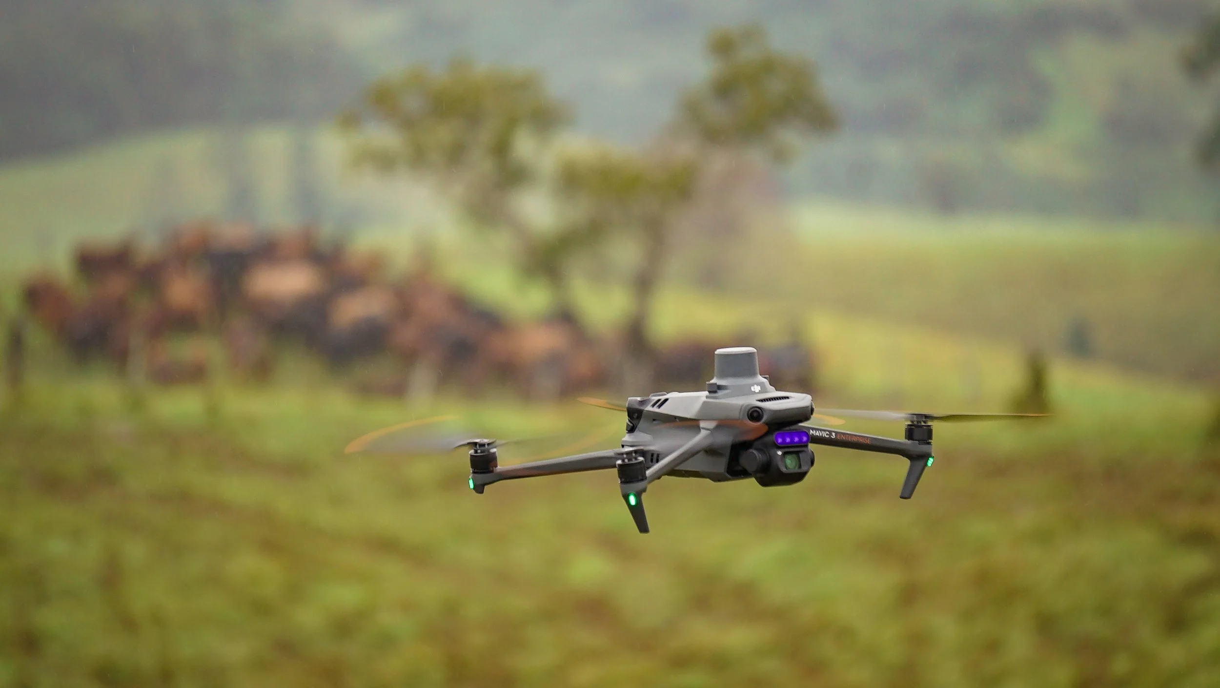A drone flying over a grassy field with blurred trees and buildings in the background.