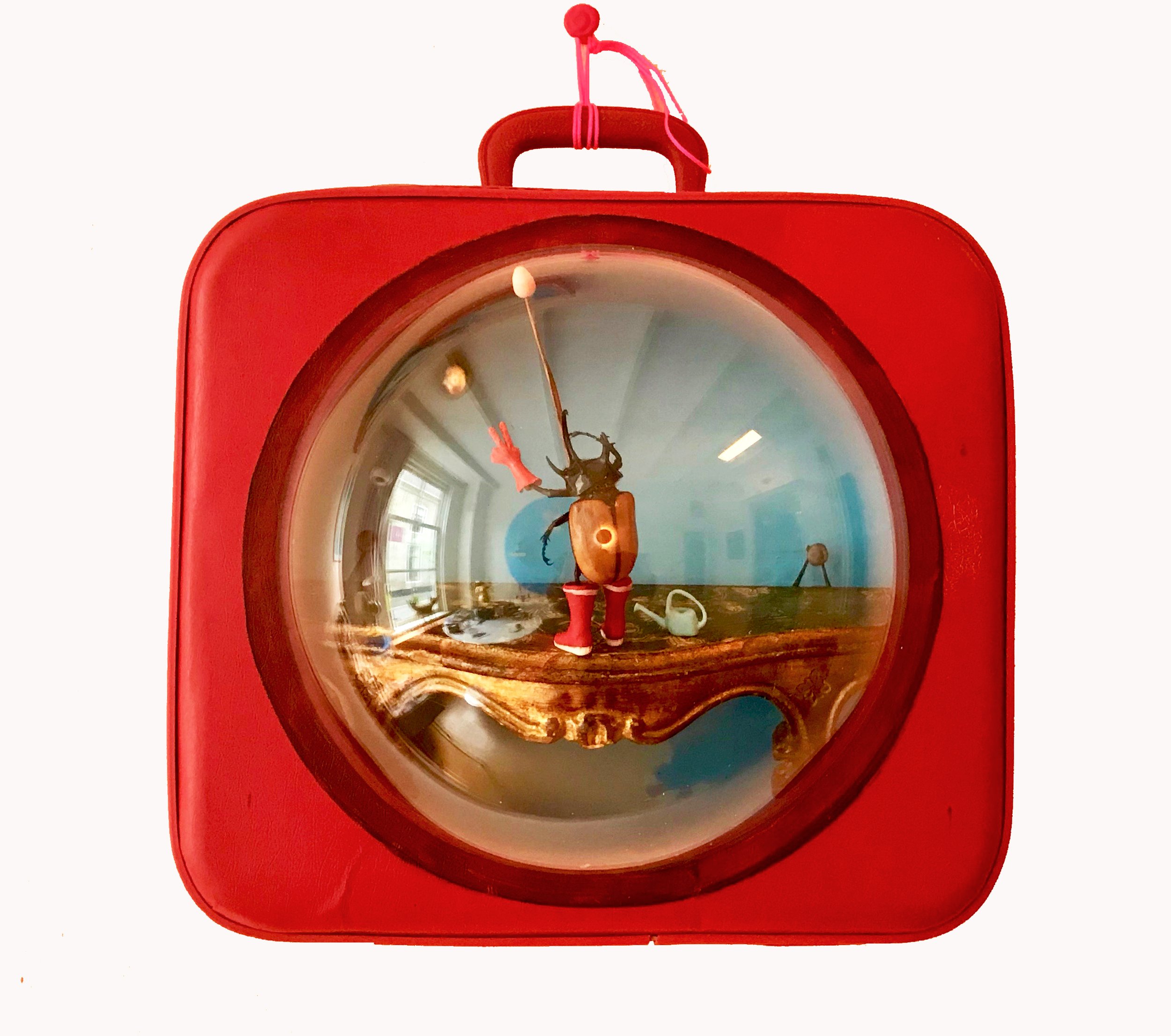 Tiny voyager - Climate worrier   