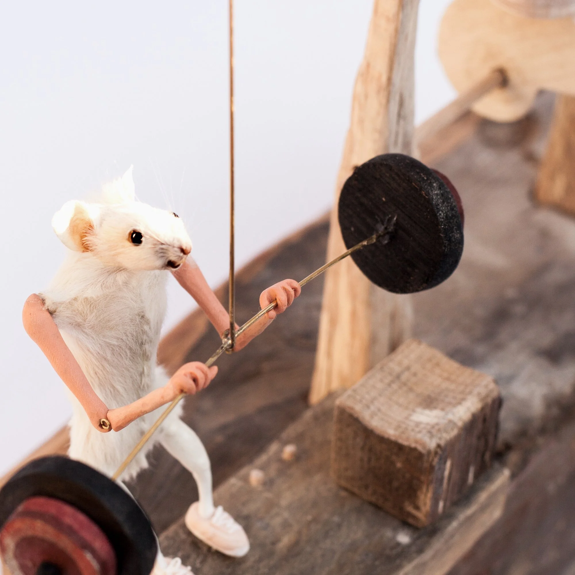 Fortissimi -mechanical automaton