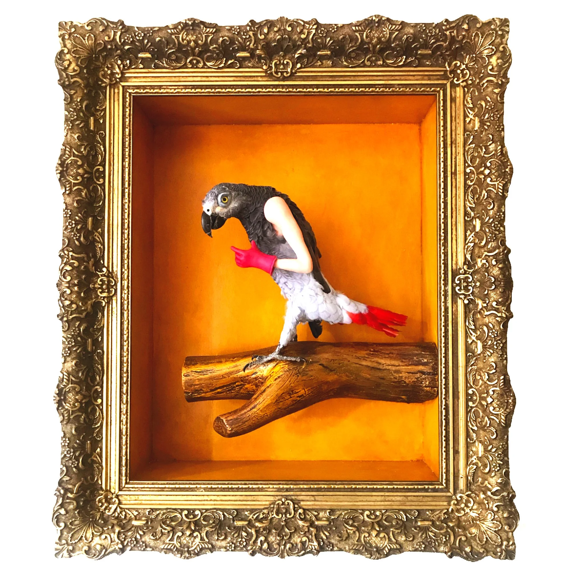 Messenger * Climate worrier series