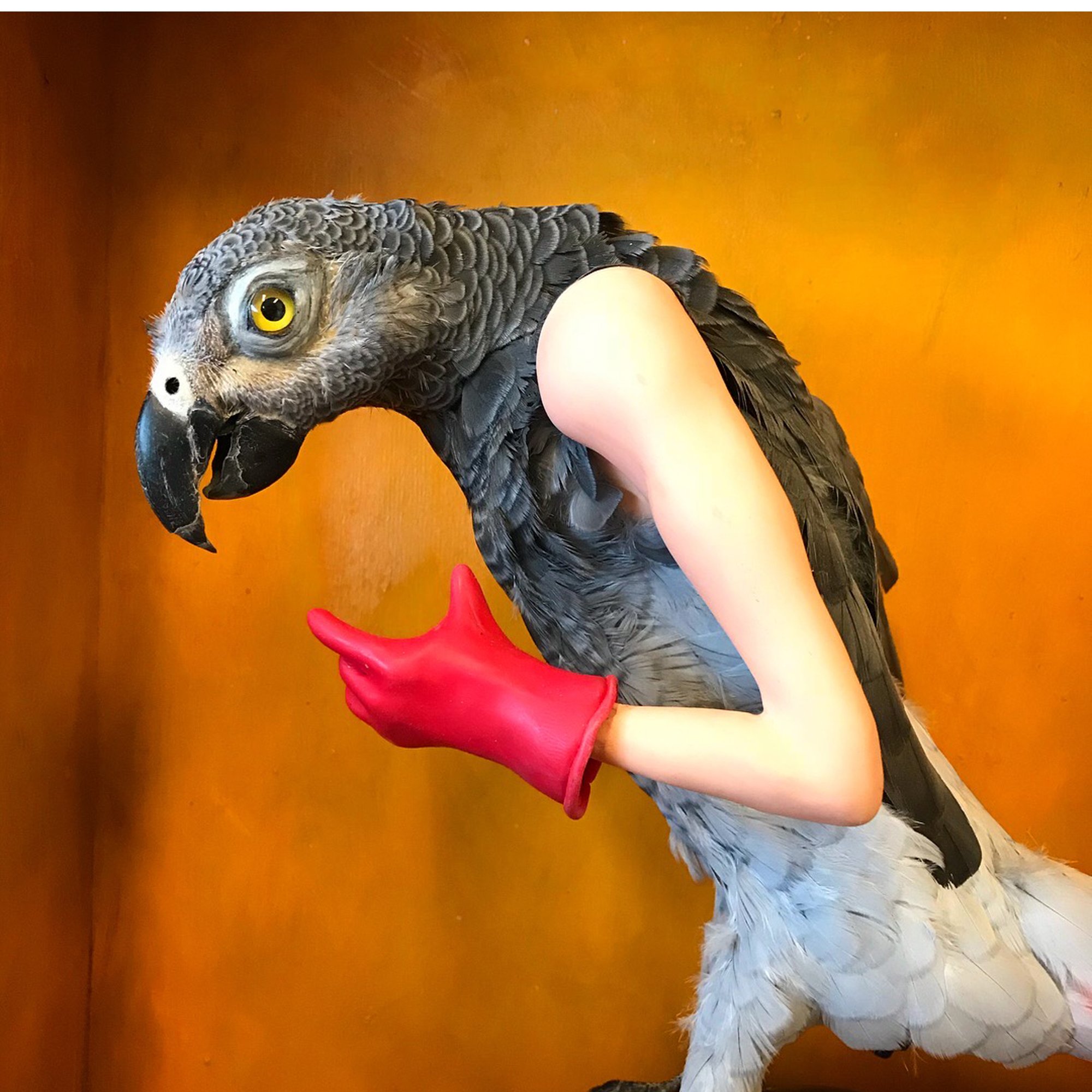 Messenger * Climate worrier series