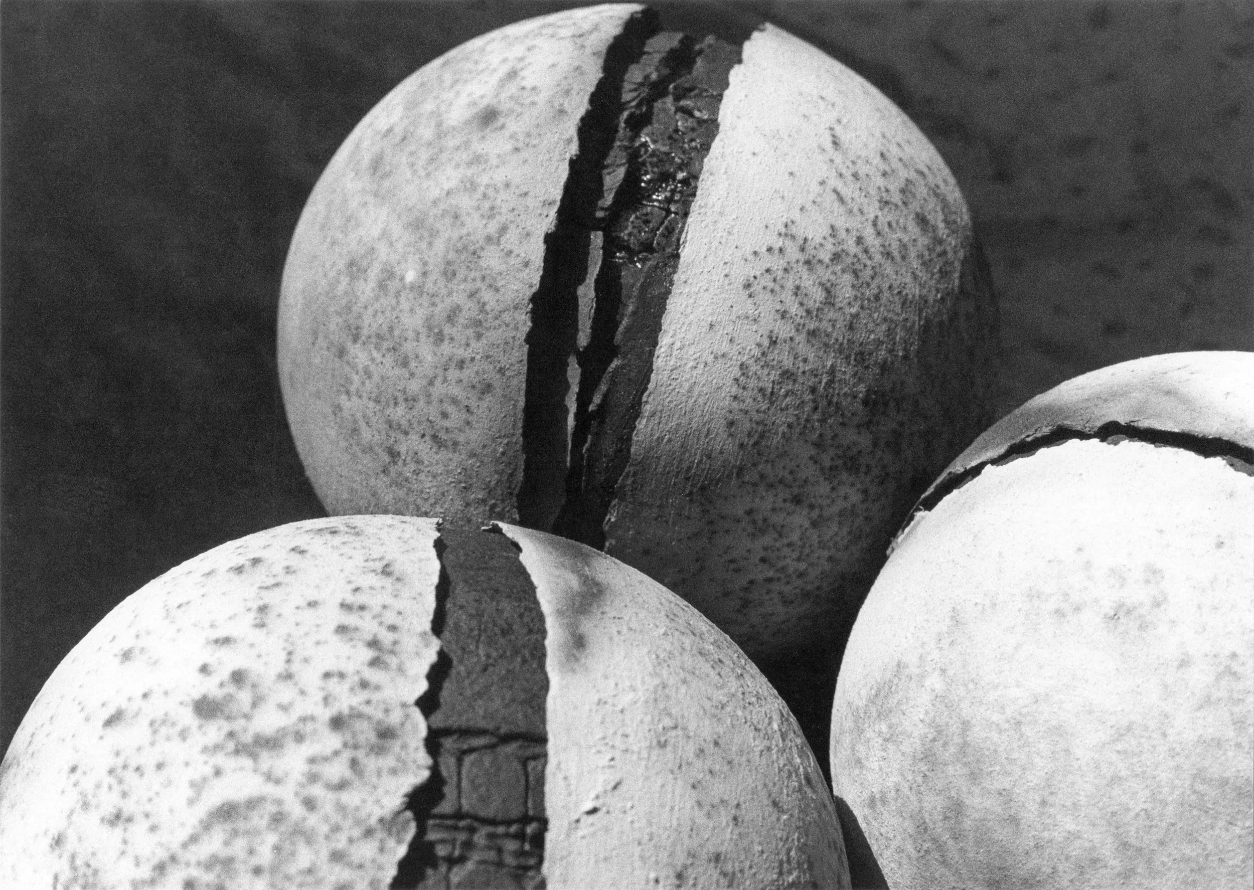 Marianne Brand