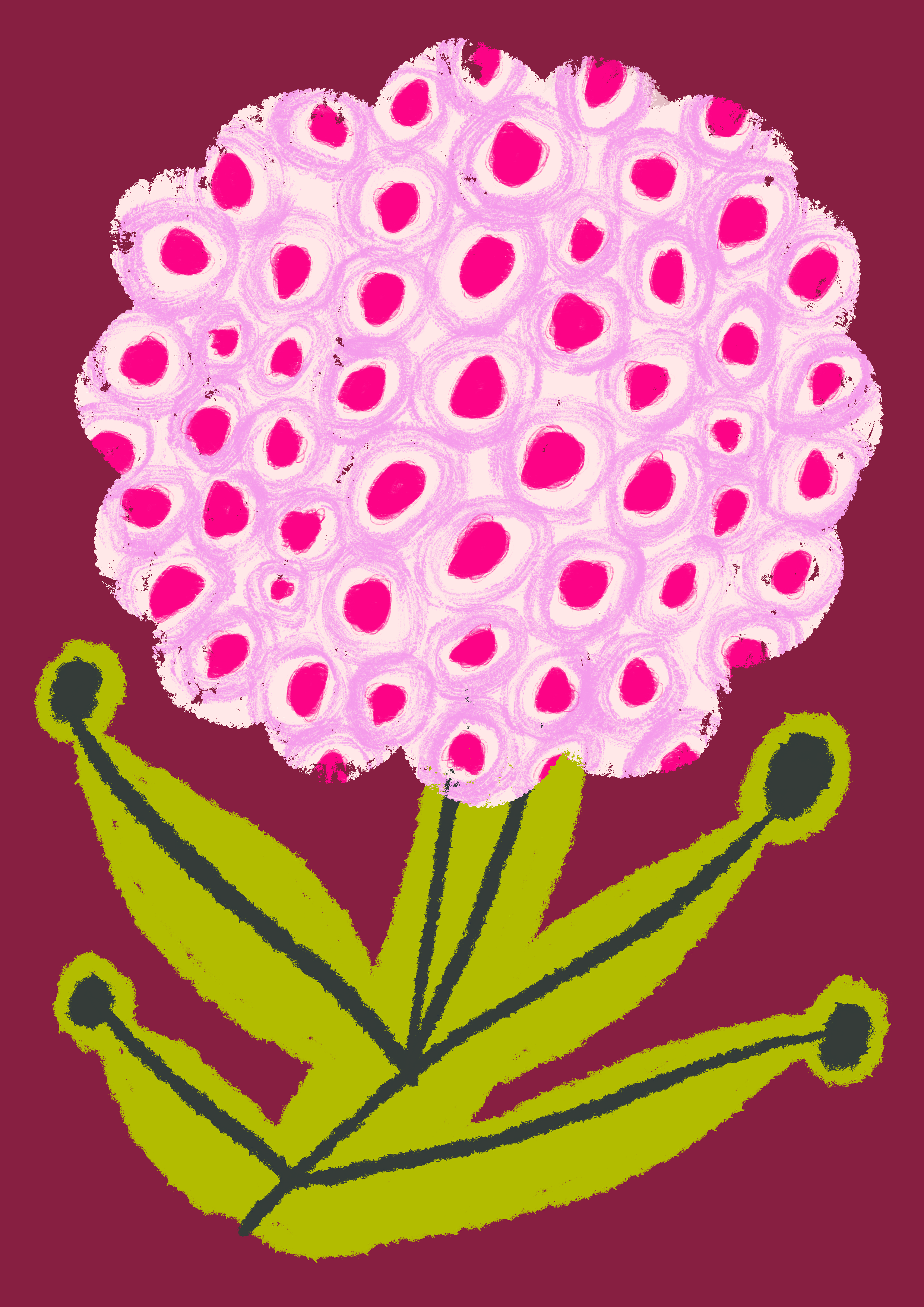 Lotus Cotton Puff.png