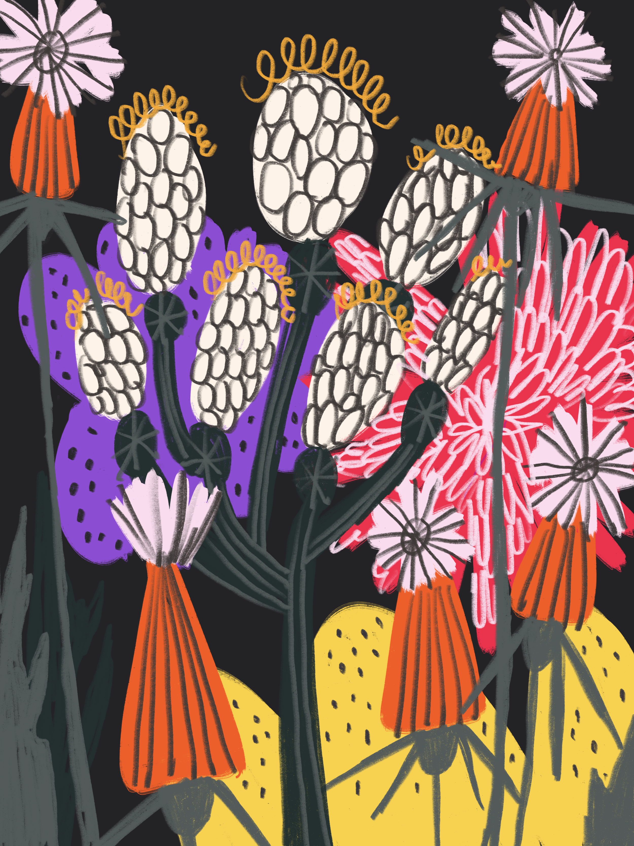 Untitled_Artwork 24p.png