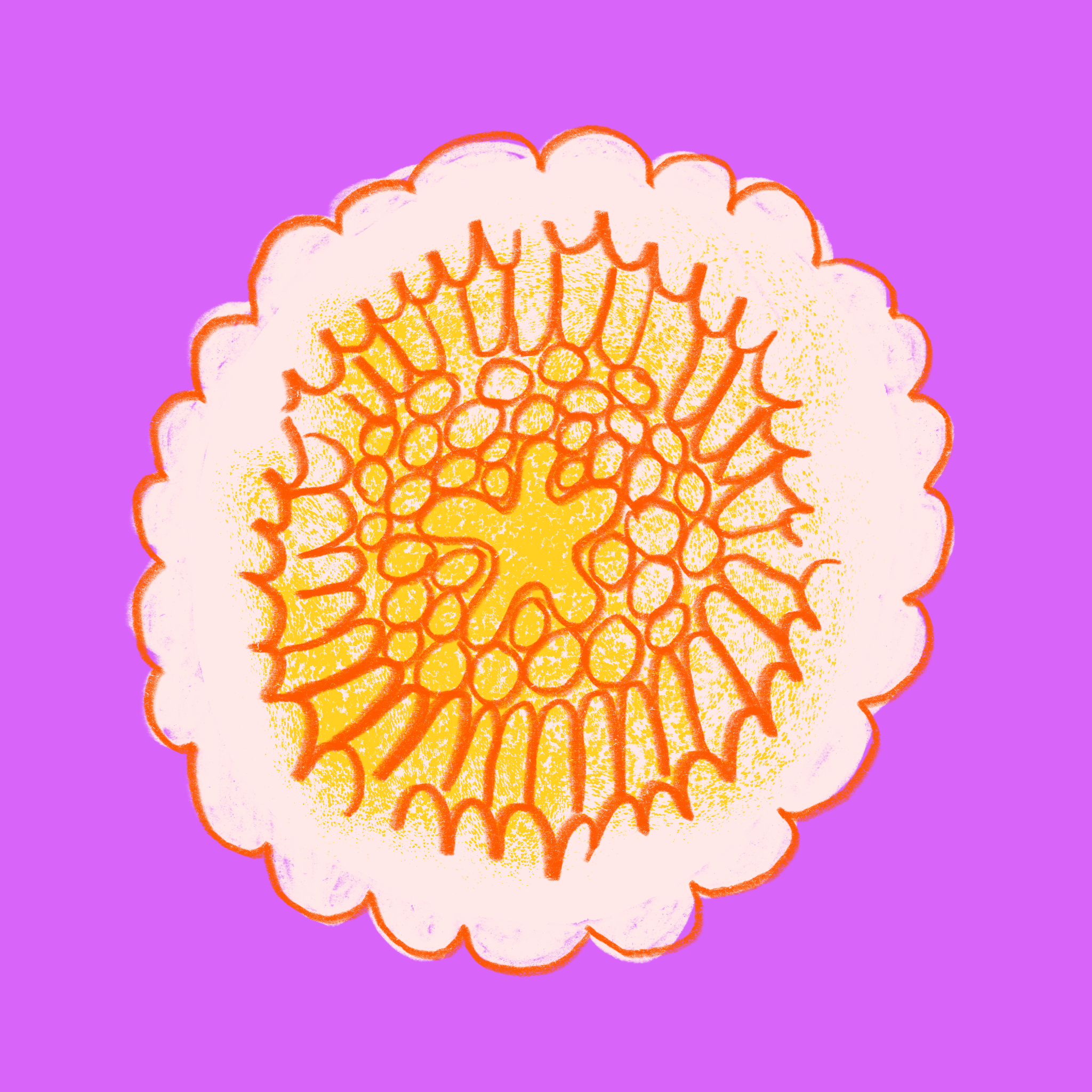 Untitled_Artwork 28.png