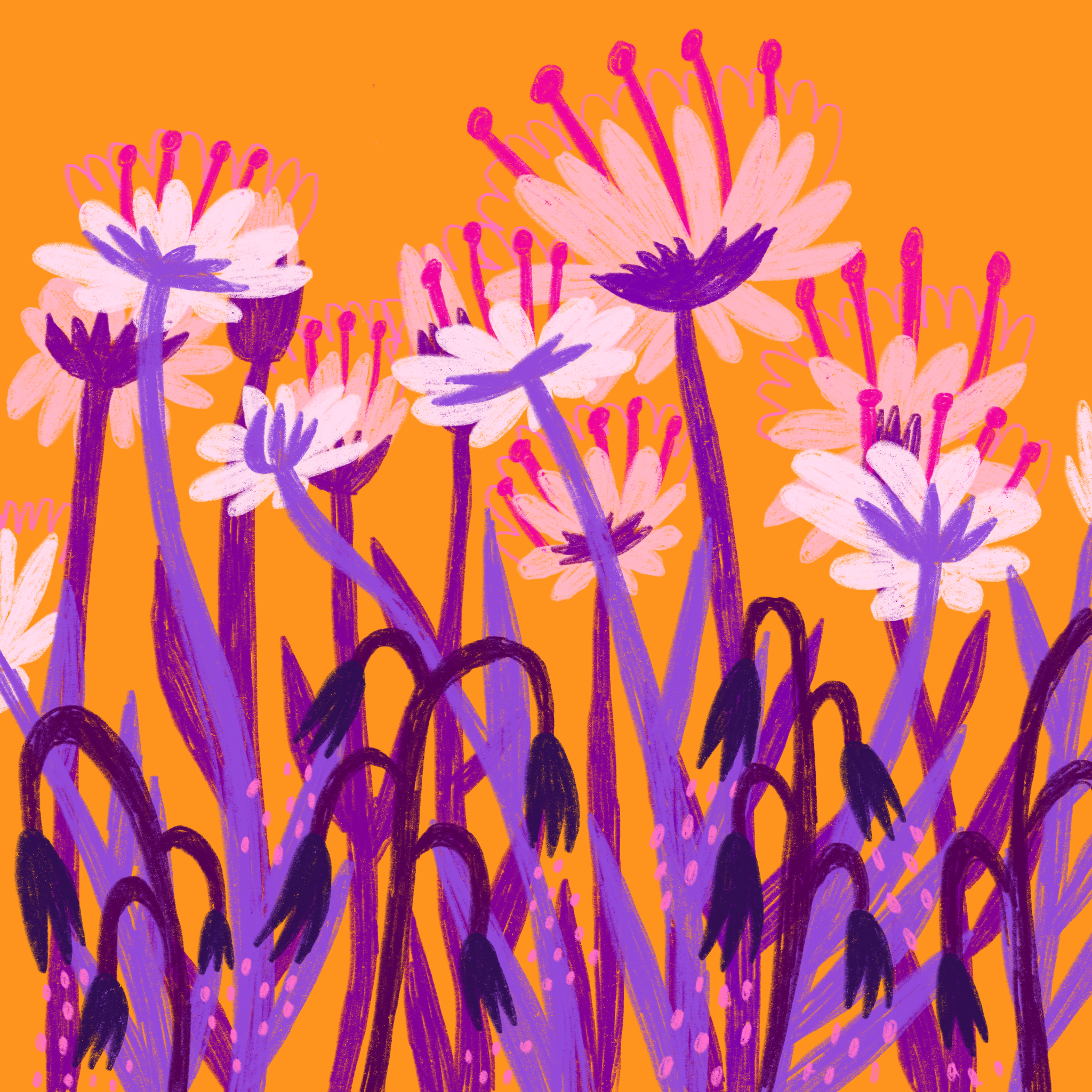 Untitled_Artwork 26.png