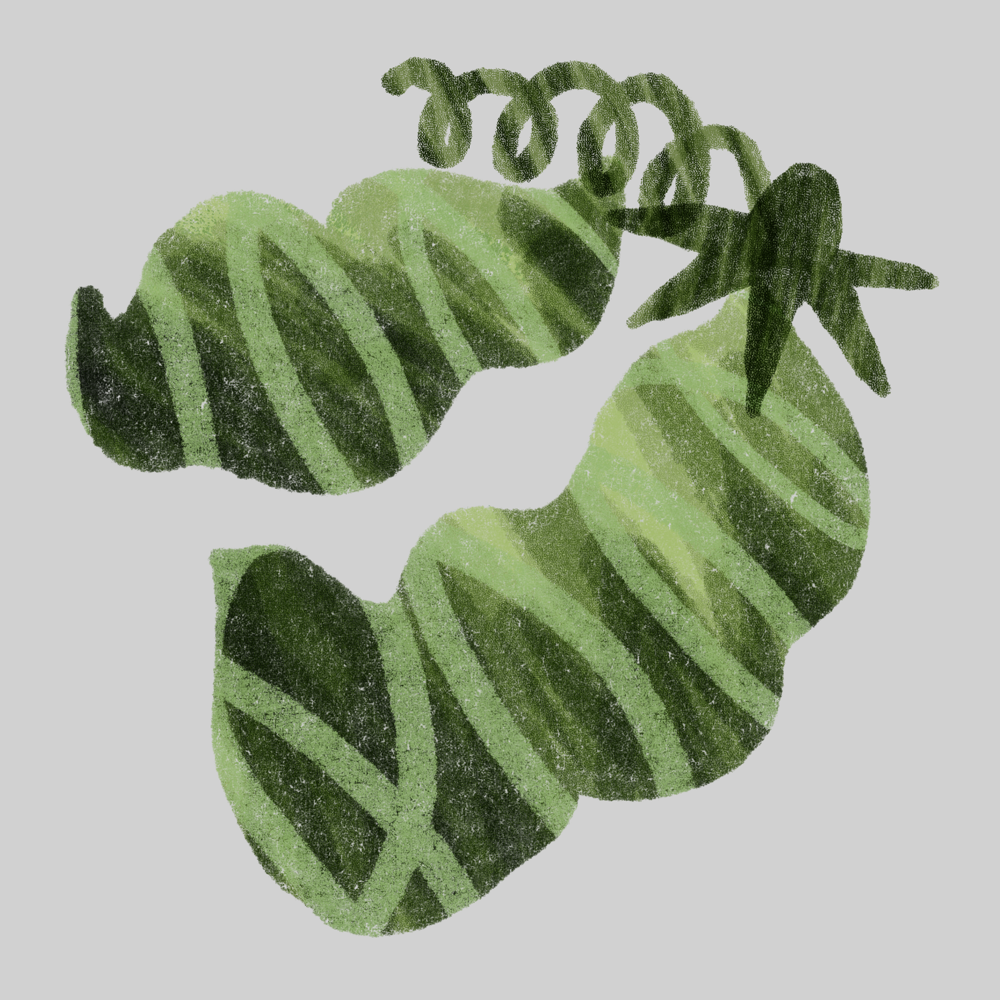 Untitled_Artwork 29.png