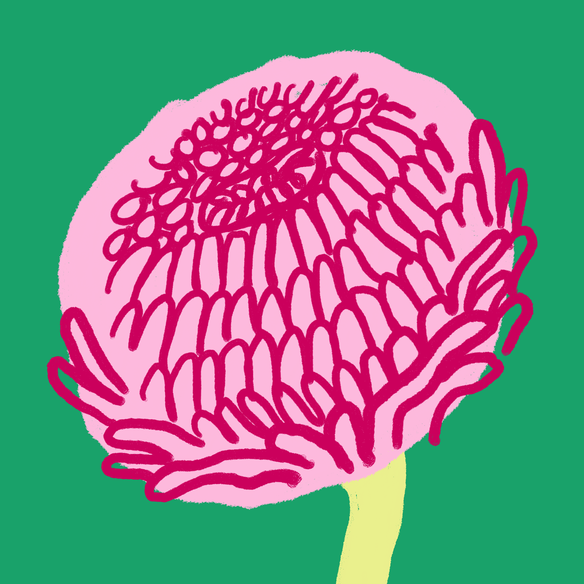 Untitled_Artwork 27.png