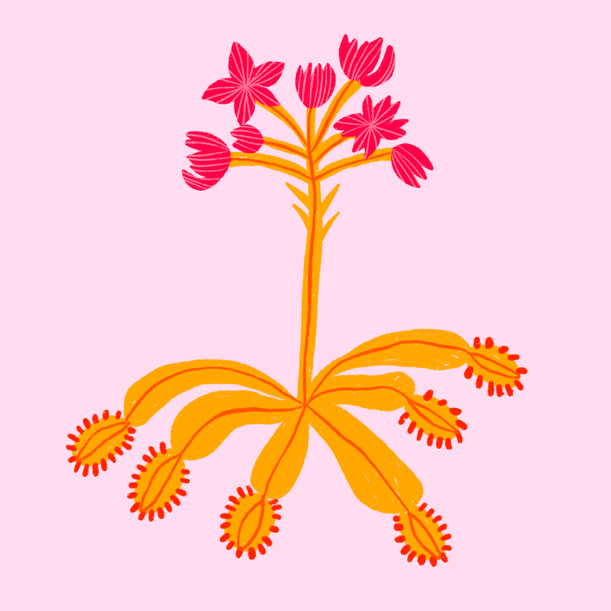 Untitled_Artwork 24.png