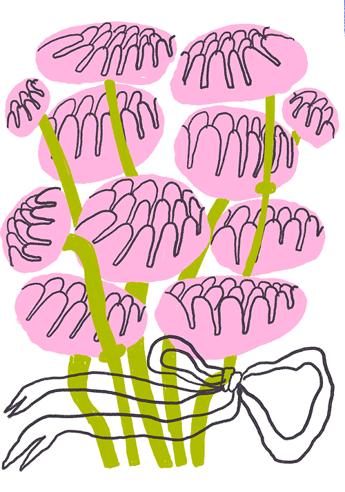 Florals and botanicals