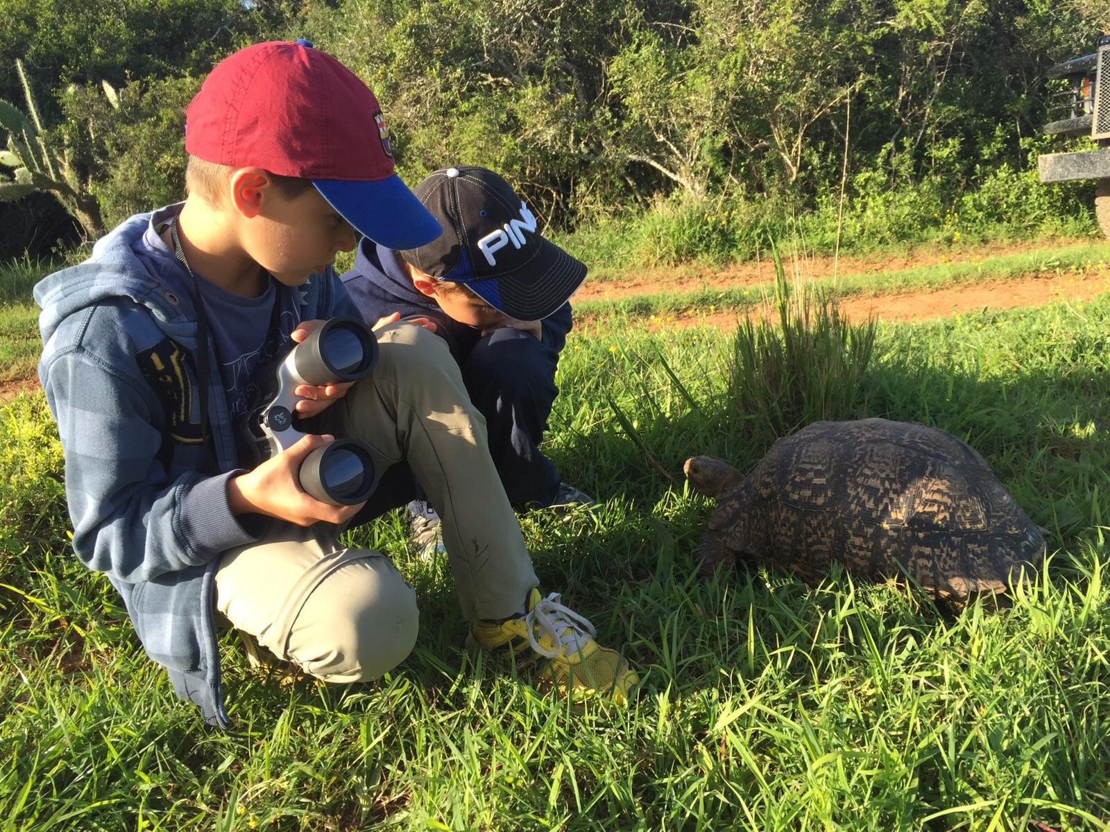 Activities Bush walks.jpg