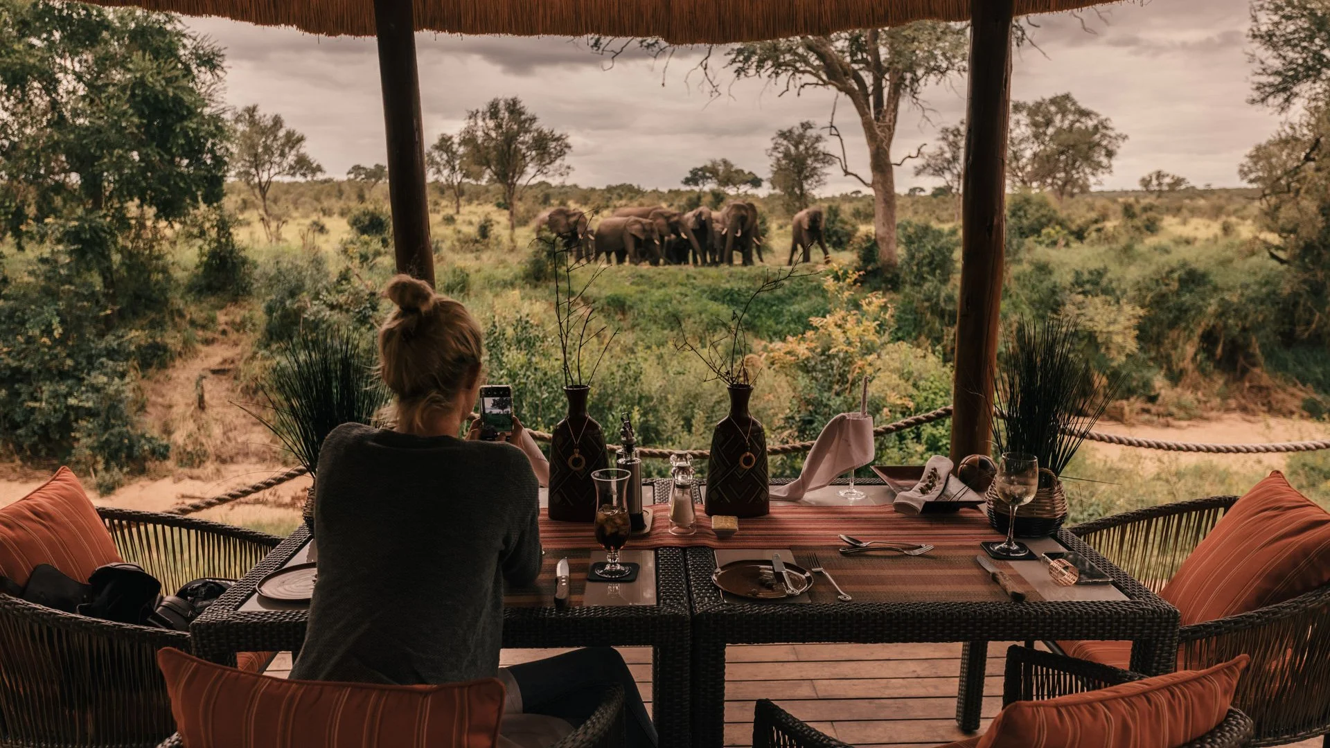 Guest enjoying a luxury safari lodge overlooking elephants in the African wilderness.
