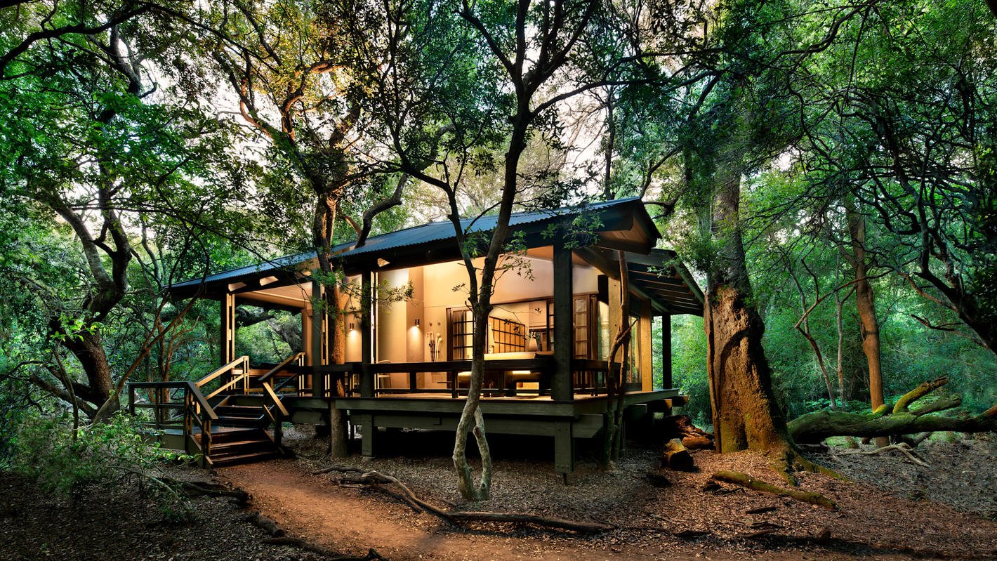 A South African Bush &amp; Beach Adventure 