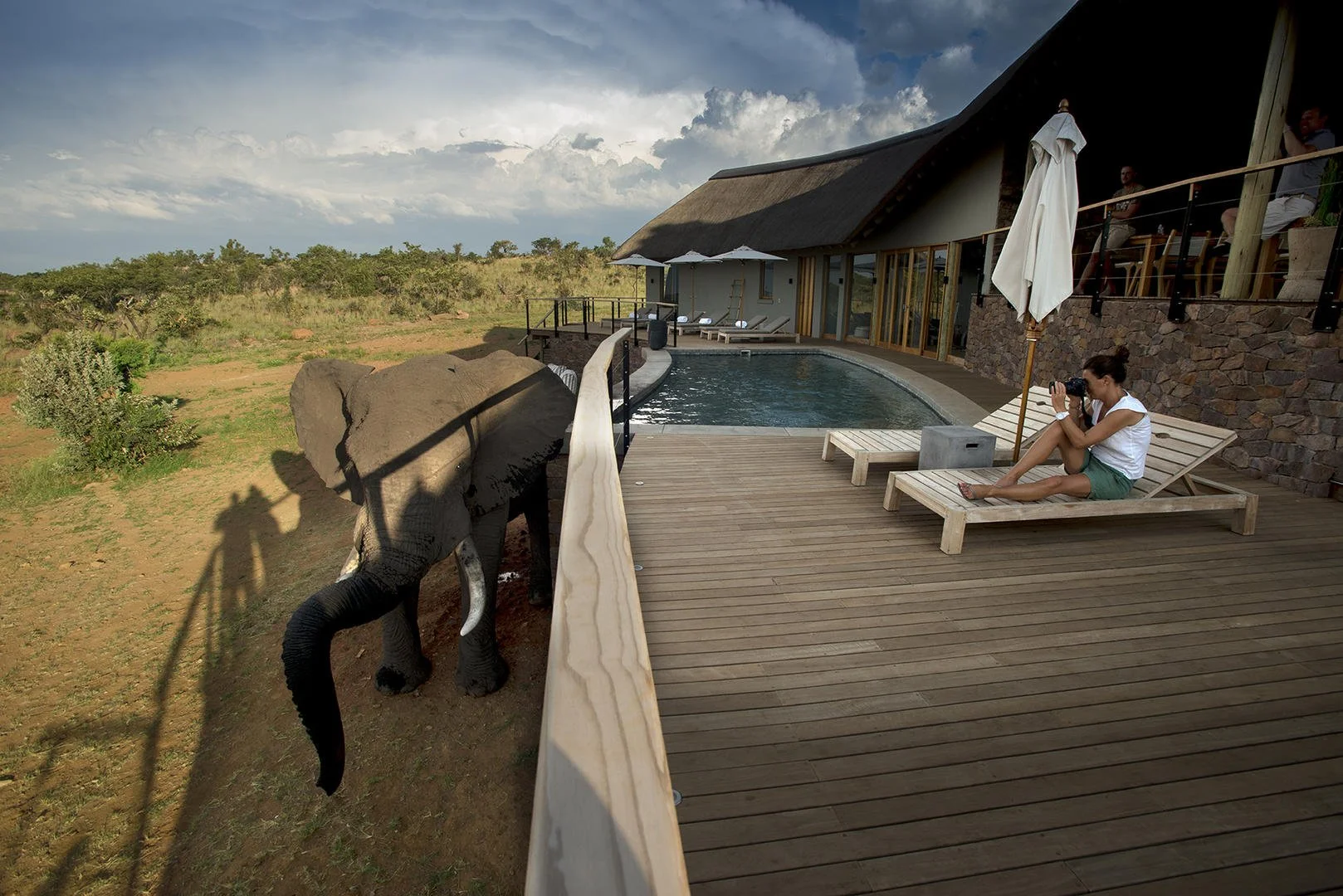 Elephant walking alongside main deck while guest relaxes at Mhondoro Safari 