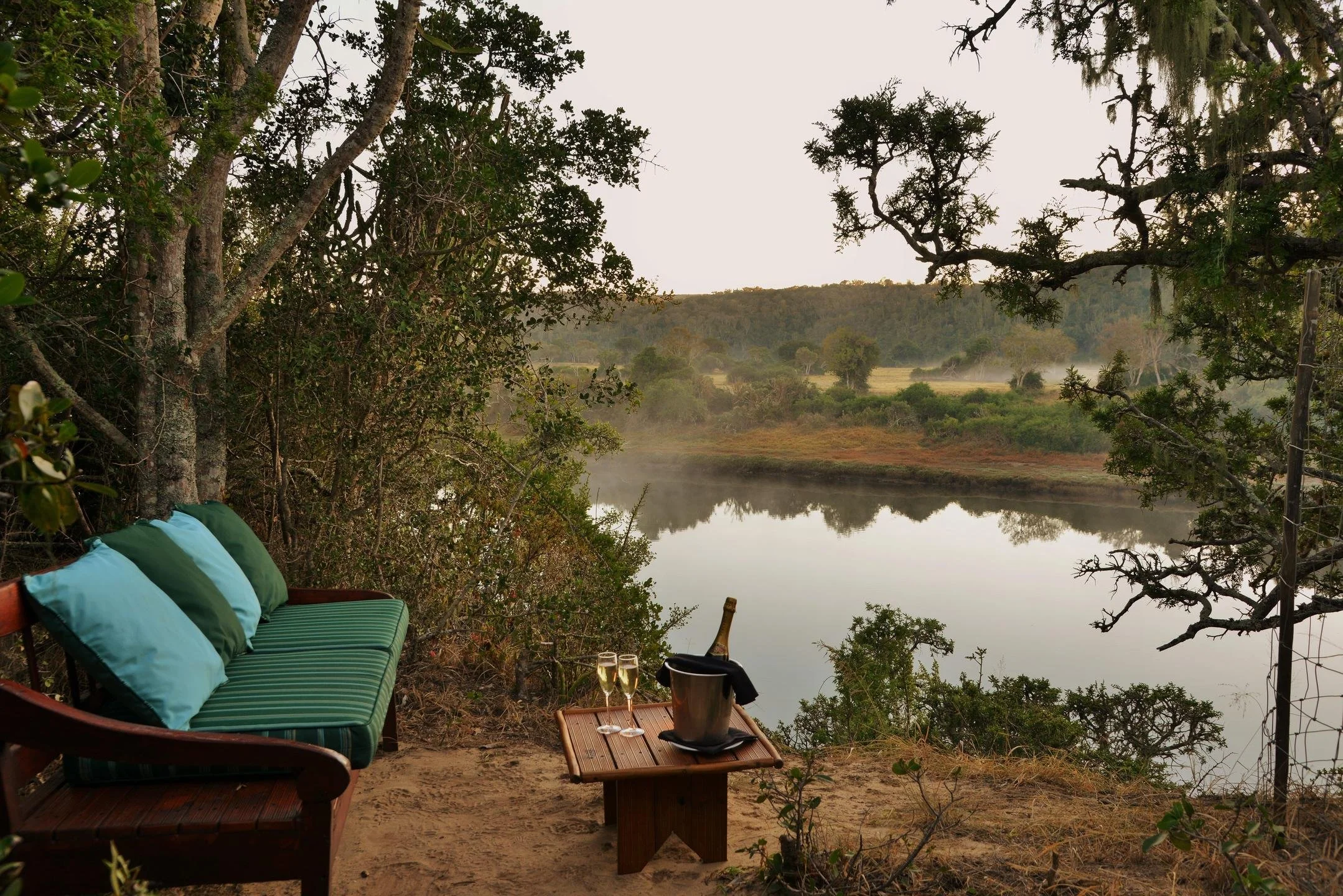 Forest Camp Viewing bench.jpg