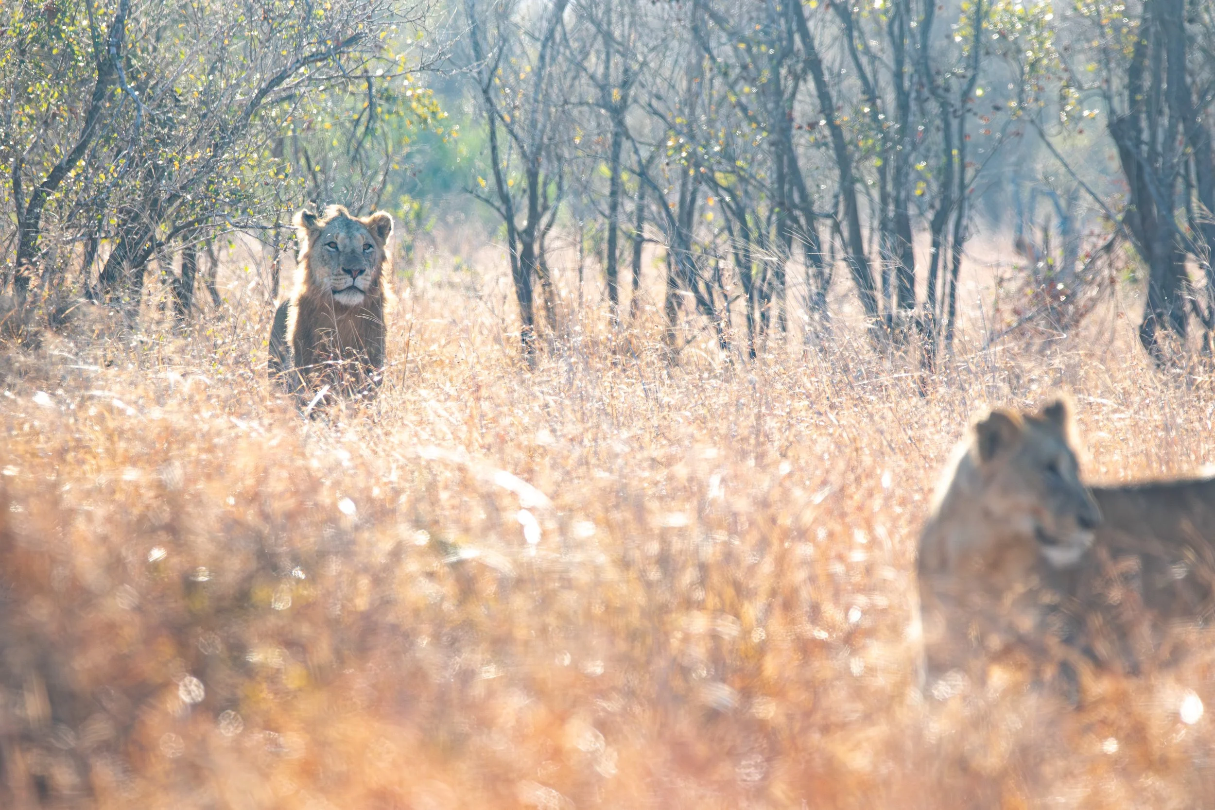 128A5522-Enhanced-NR.jpg