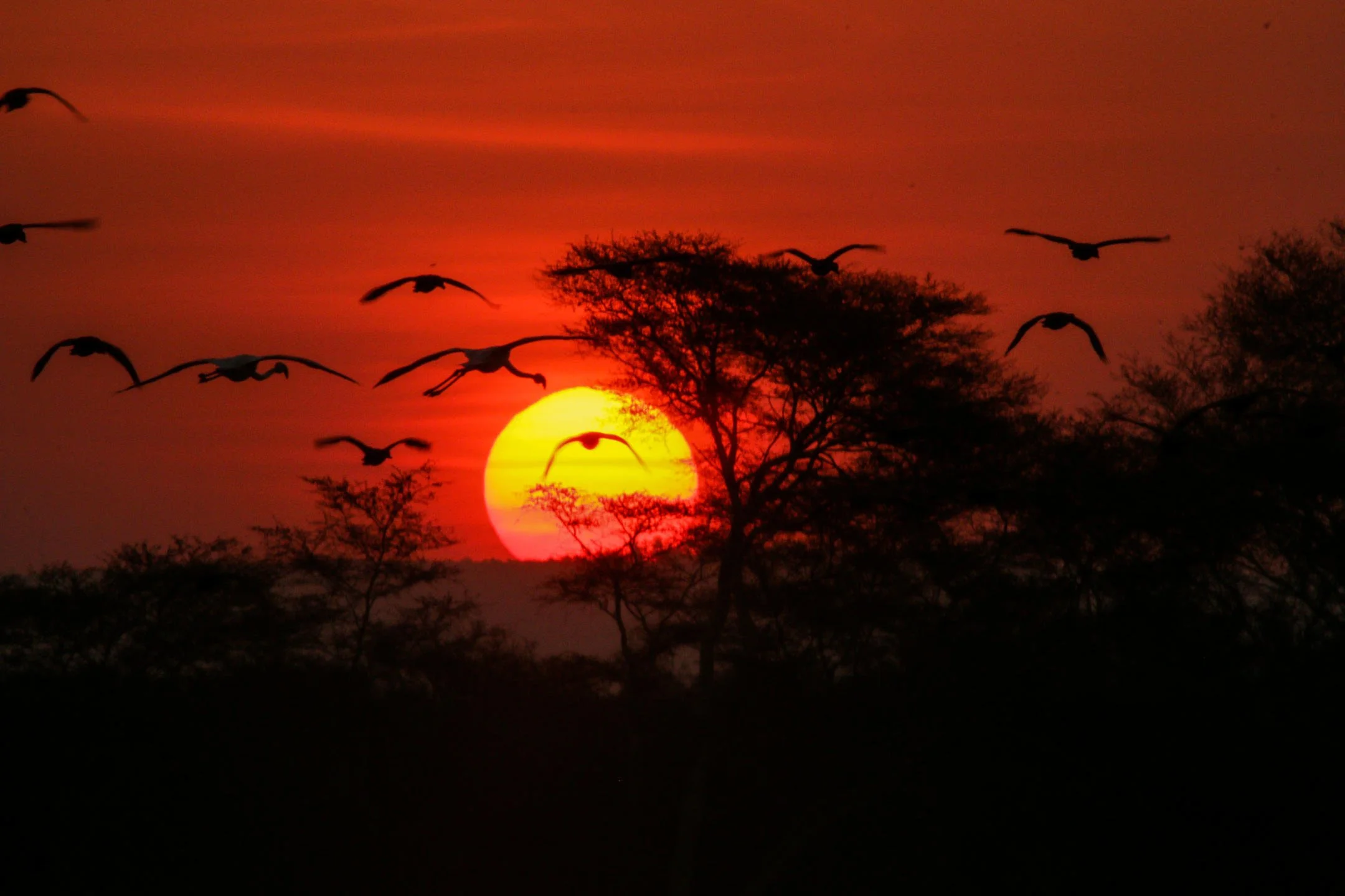 Activities Birding_4.jpg