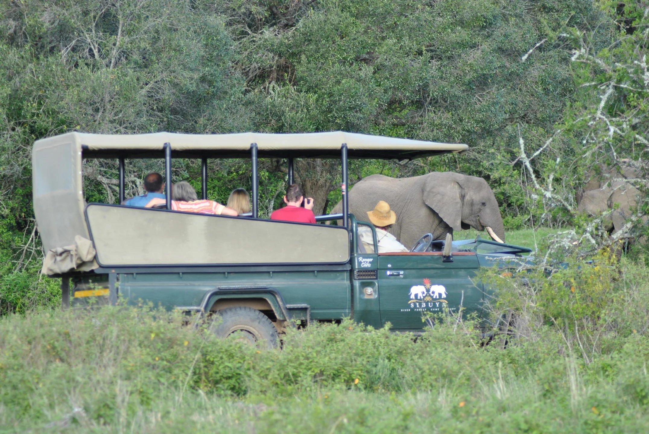 Activities Big 5 game drives_1.jpg