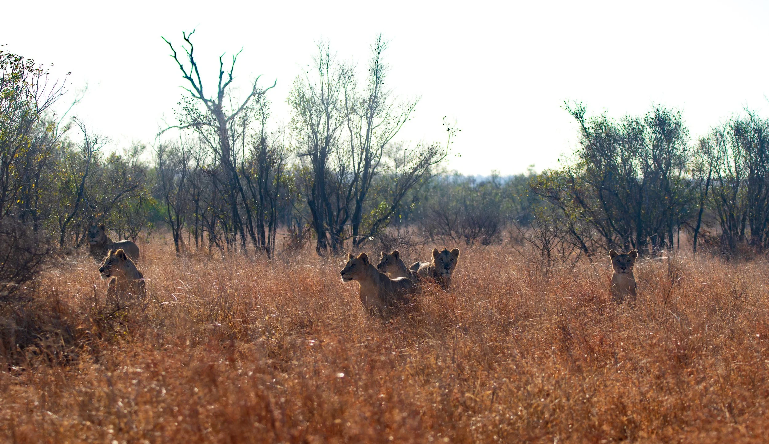 128A5504-Enhanced-NR.jpg