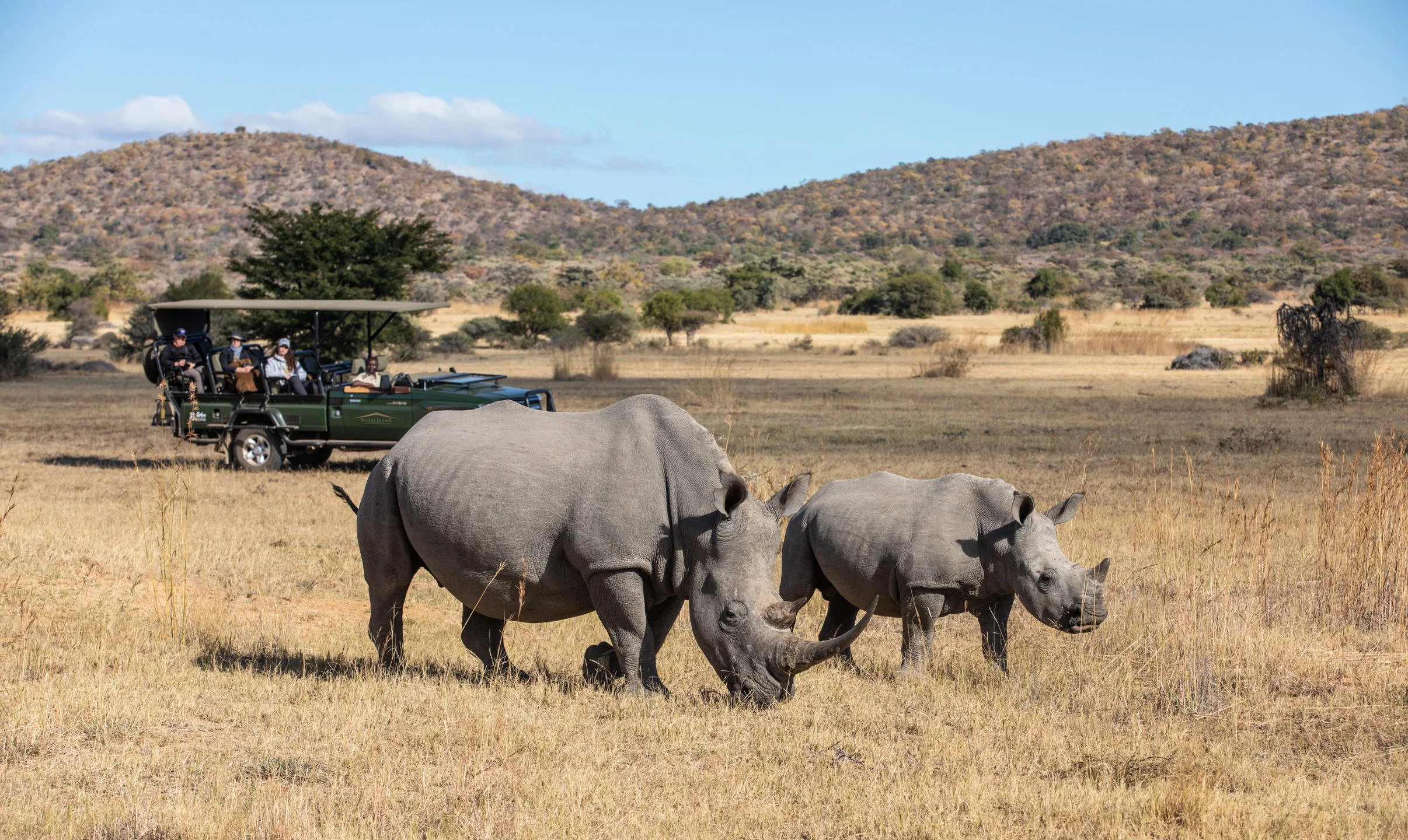 1763108079593safari-plains-safari-experience-3.jpg