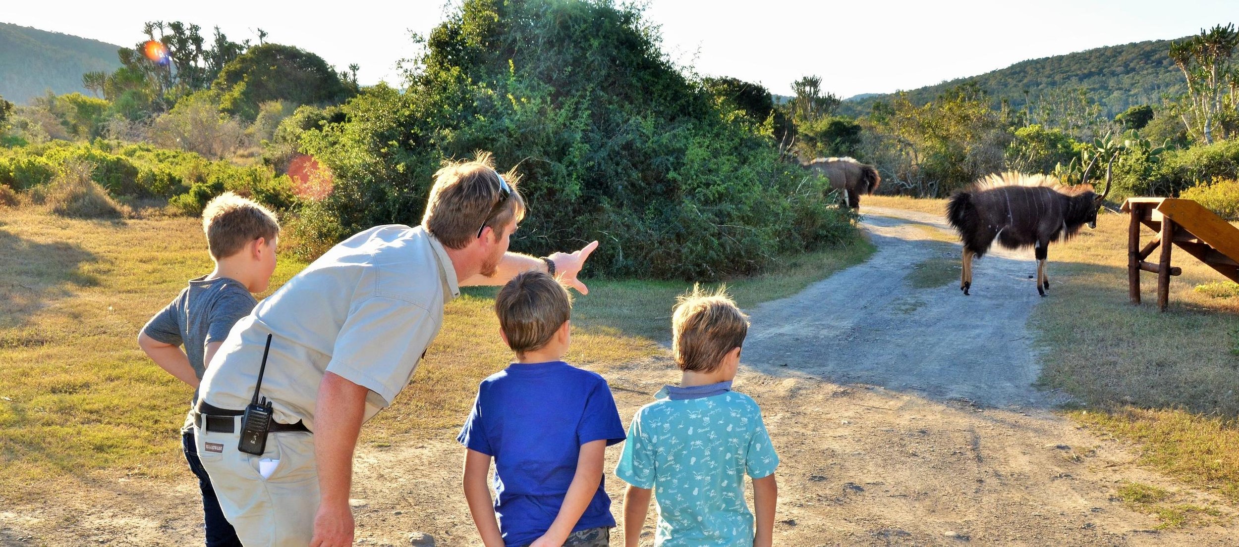 Activities River Camp children s walks.jpg