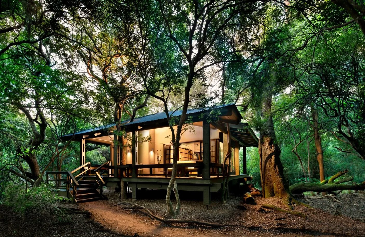 Phinda_Forest Lodge.jpg