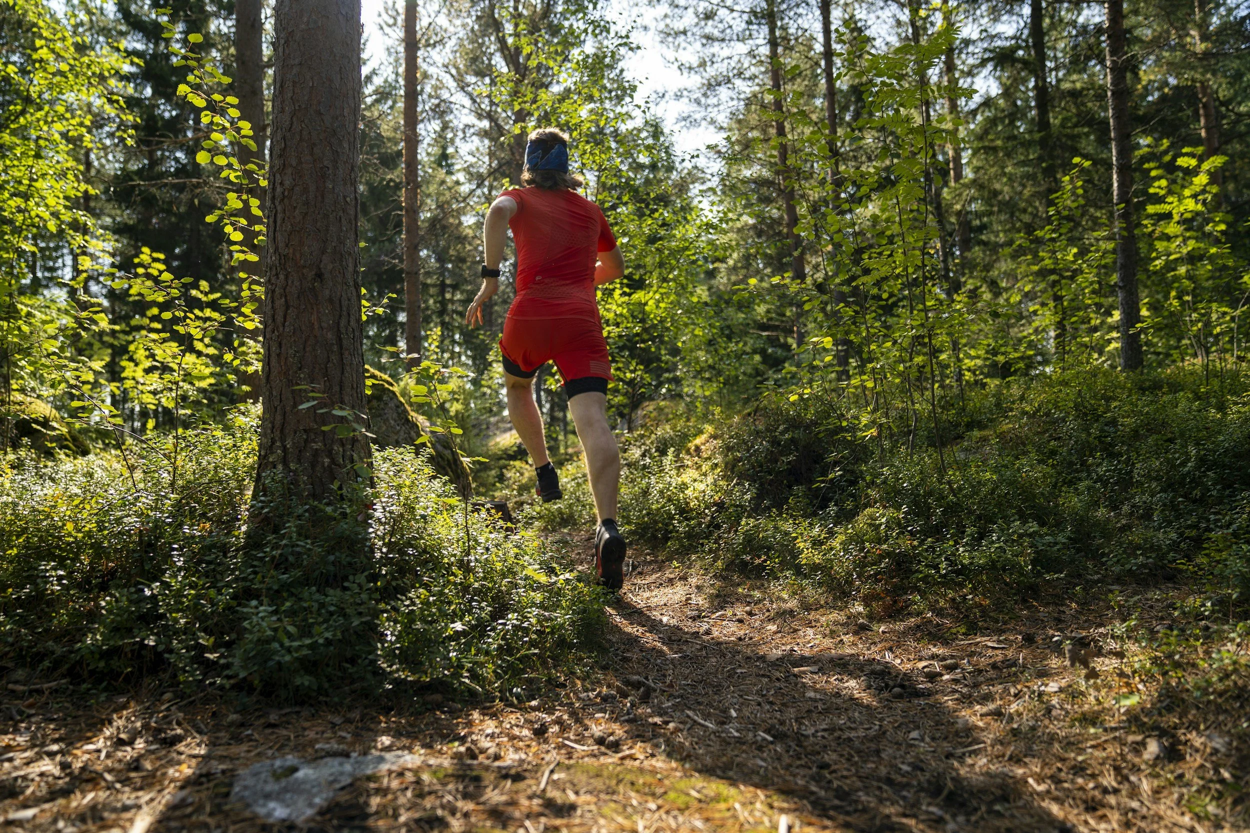 A person running through a sunlit forest trail, surrounded by tall trees and green foliage.