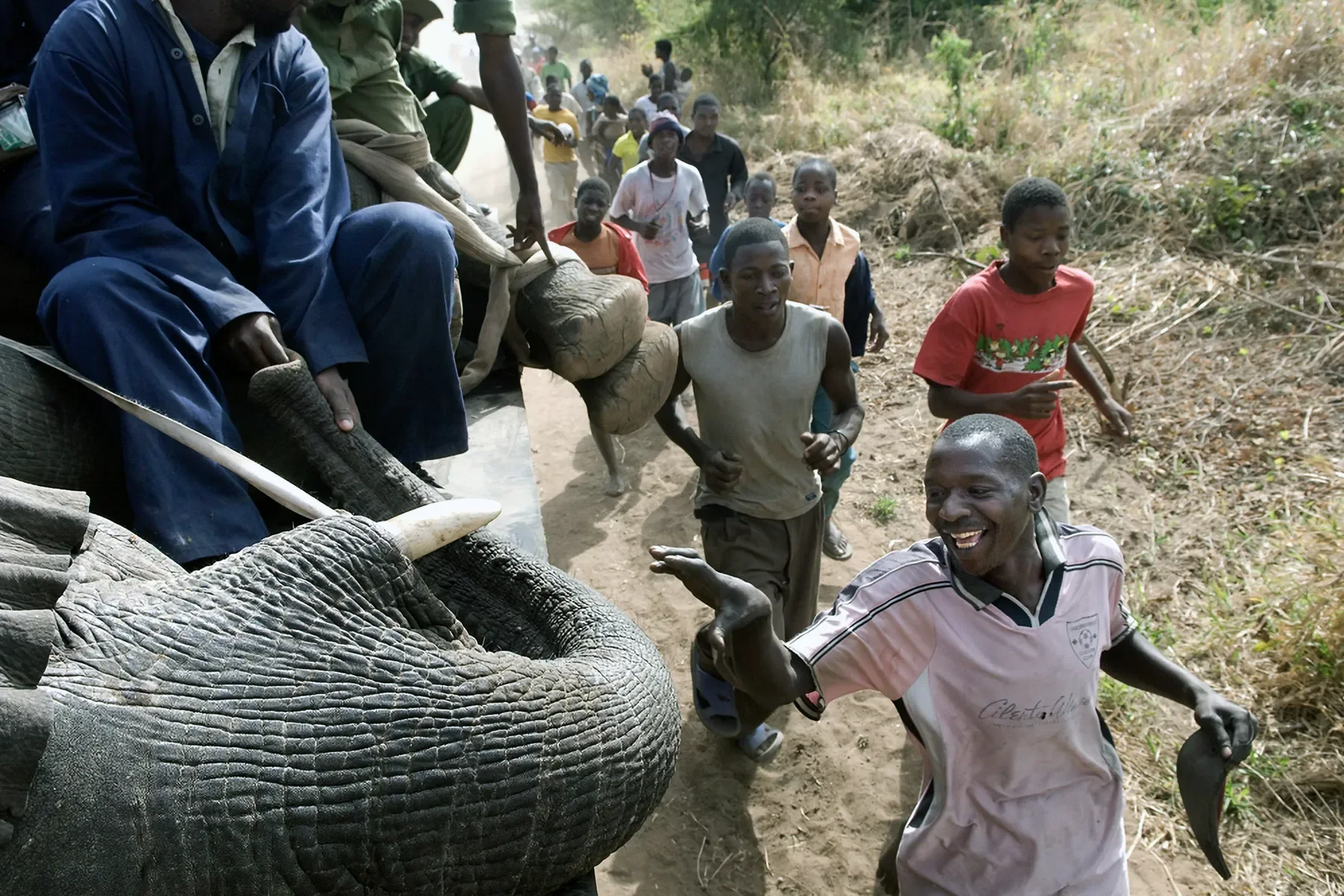 animals-rescue-photography-05 .webp