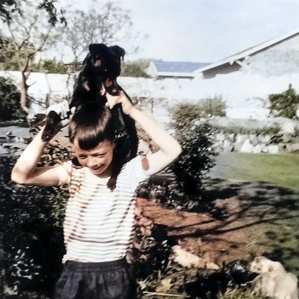 A young girl with a striped shirt holding a small black dog on her shoulders outside in a backyard.