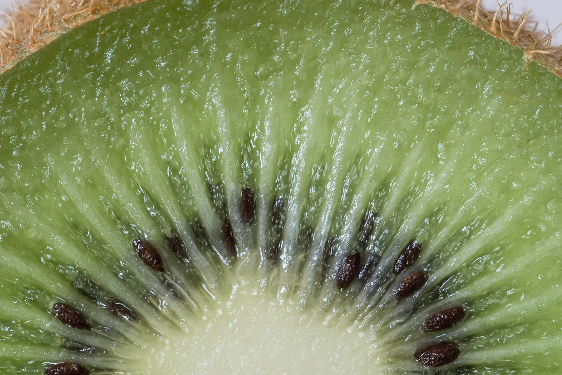 fruit-photography-03.webp