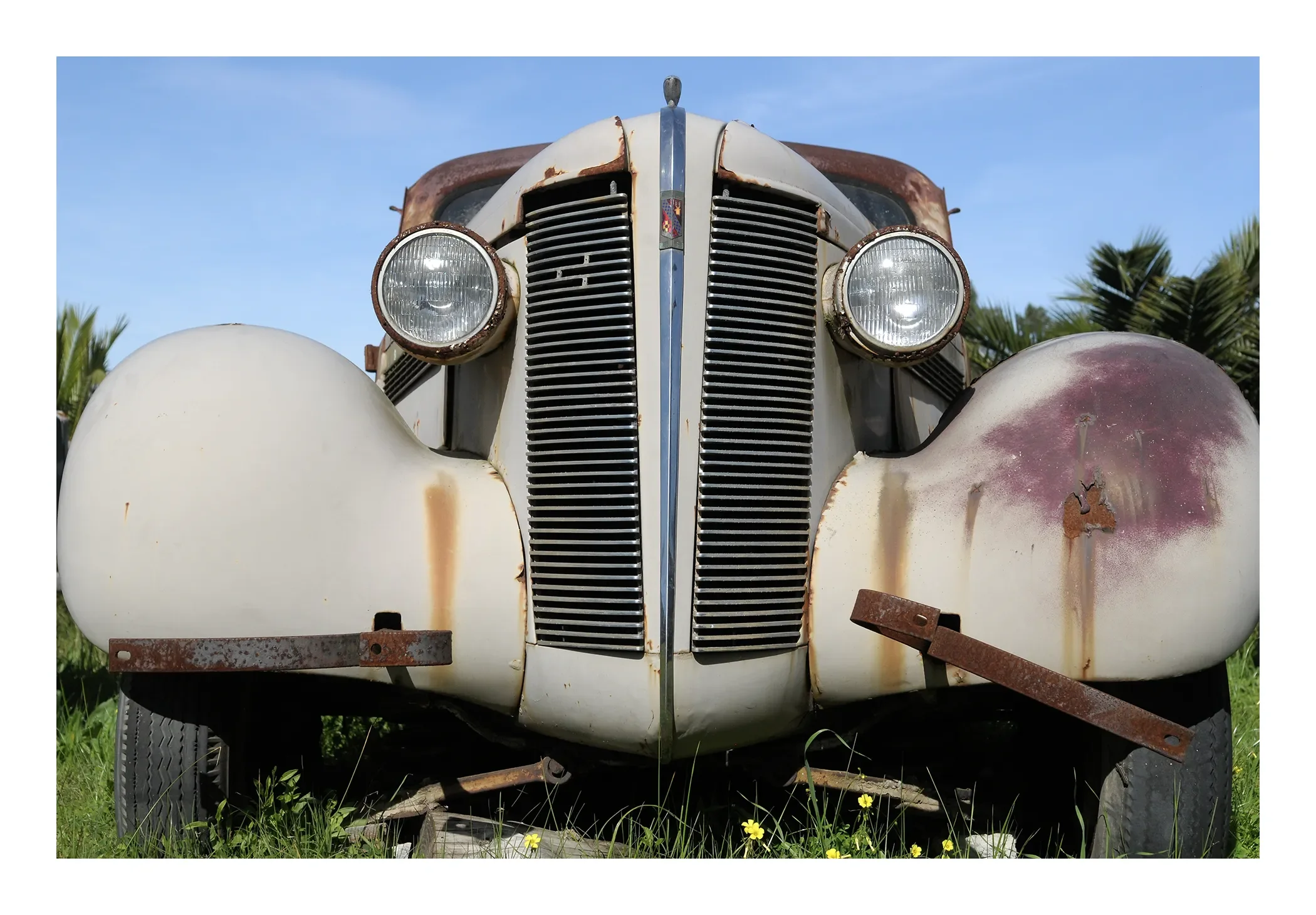 Front view of an old, rusty vintage car with rusted metal parts and faded paint, set outdoors against a blue sky and green grass with yellow flowers.