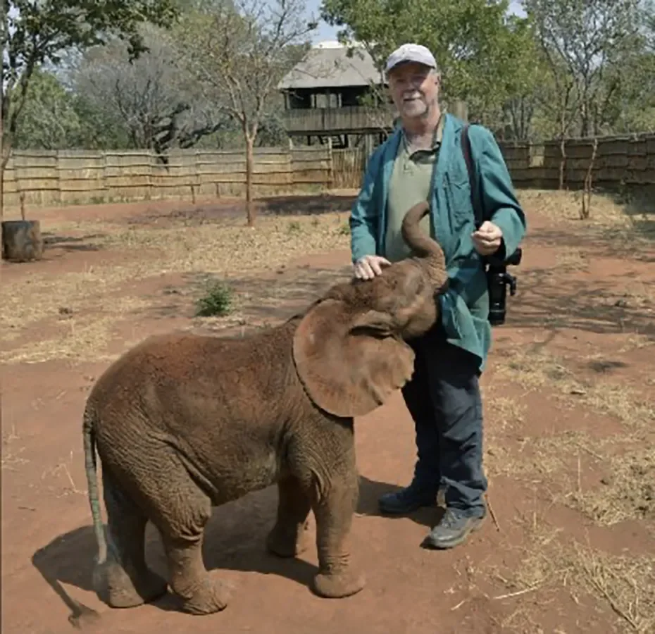 A man in outdoor clothing, including a blue jacket and baseball cap, standing outdoors with a baby elephant, touching its trunk with his hand.
