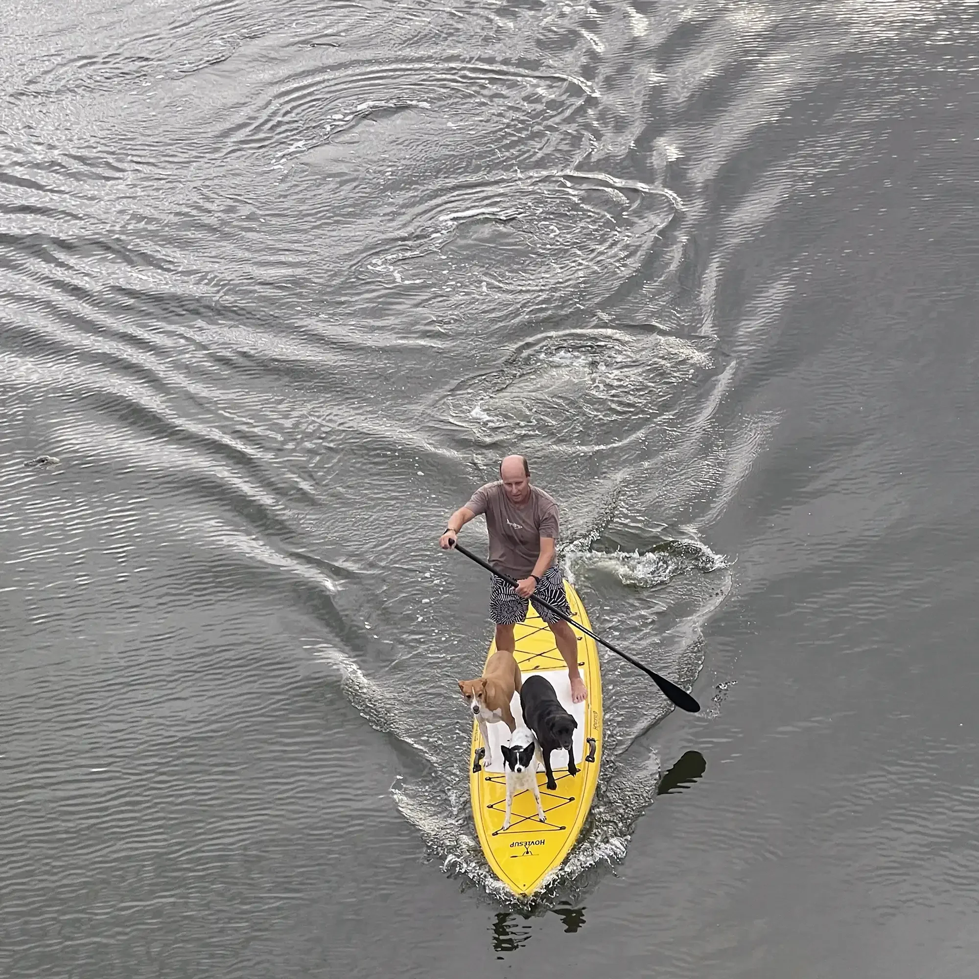 A man paddleboarding on a yellow paddleboard on a body of water with three dogs standing on the board.