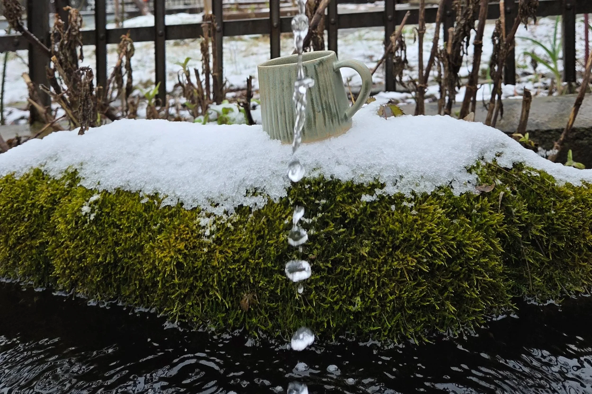 A ceramic mug is placed on snow-covered moss with water pouring into it from above, outdoors in a garden with a metal fence and plants in the background.