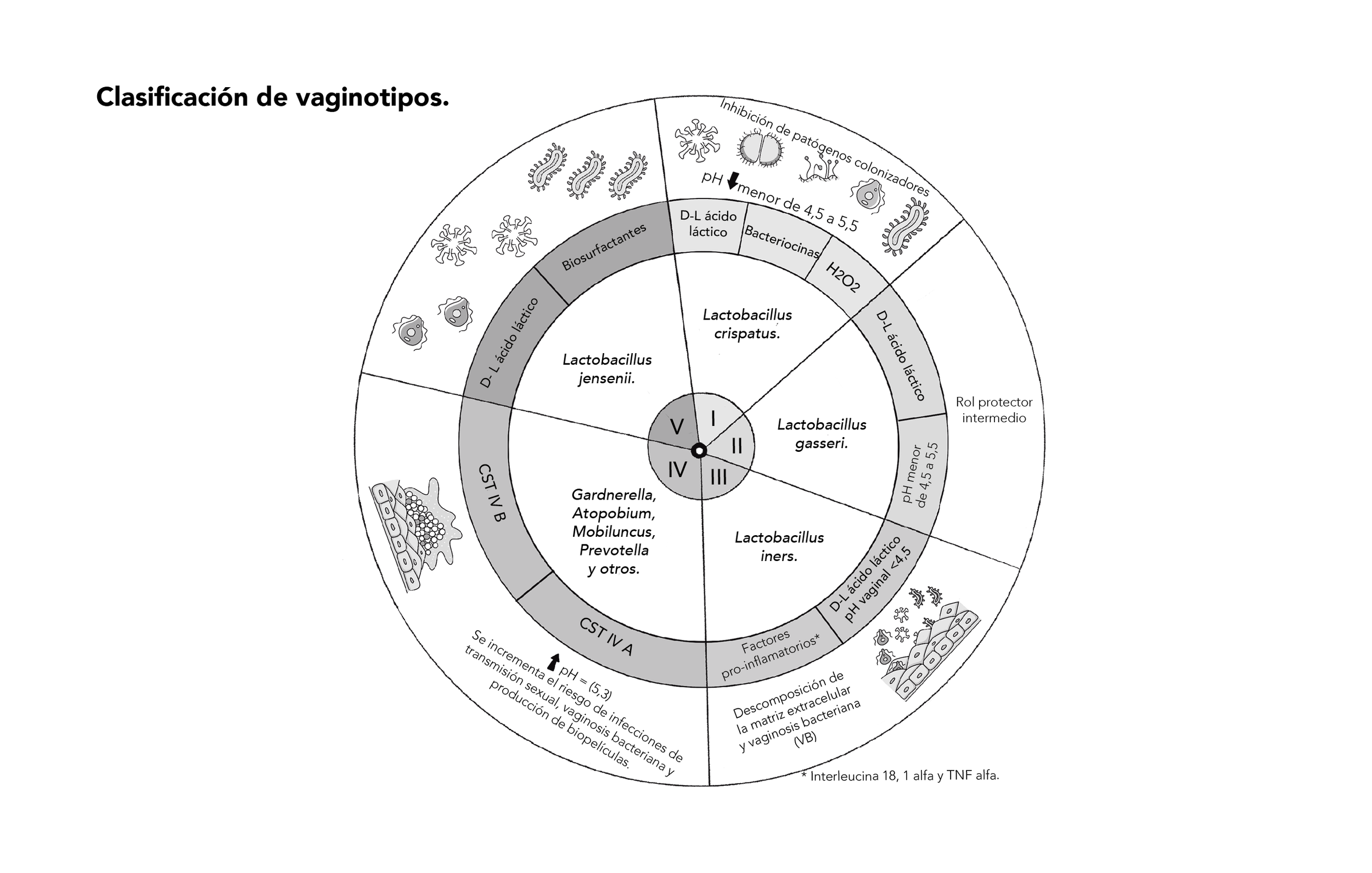 Capítulo 4 Figura 3.png