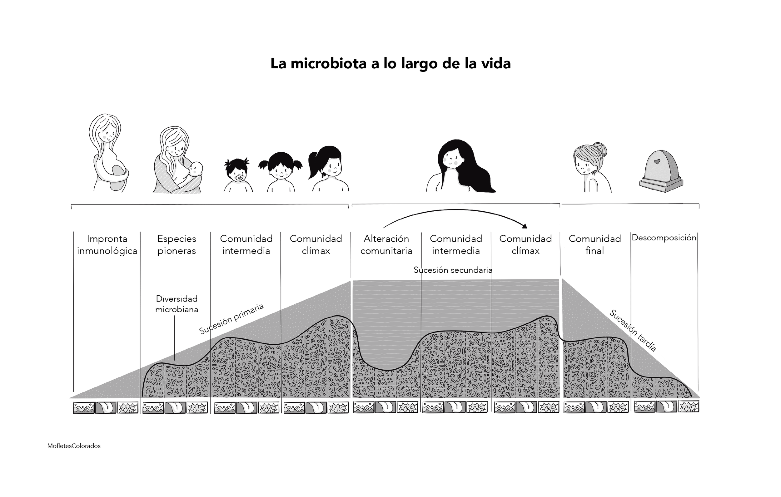 Capítulo 3 Figura 1.png