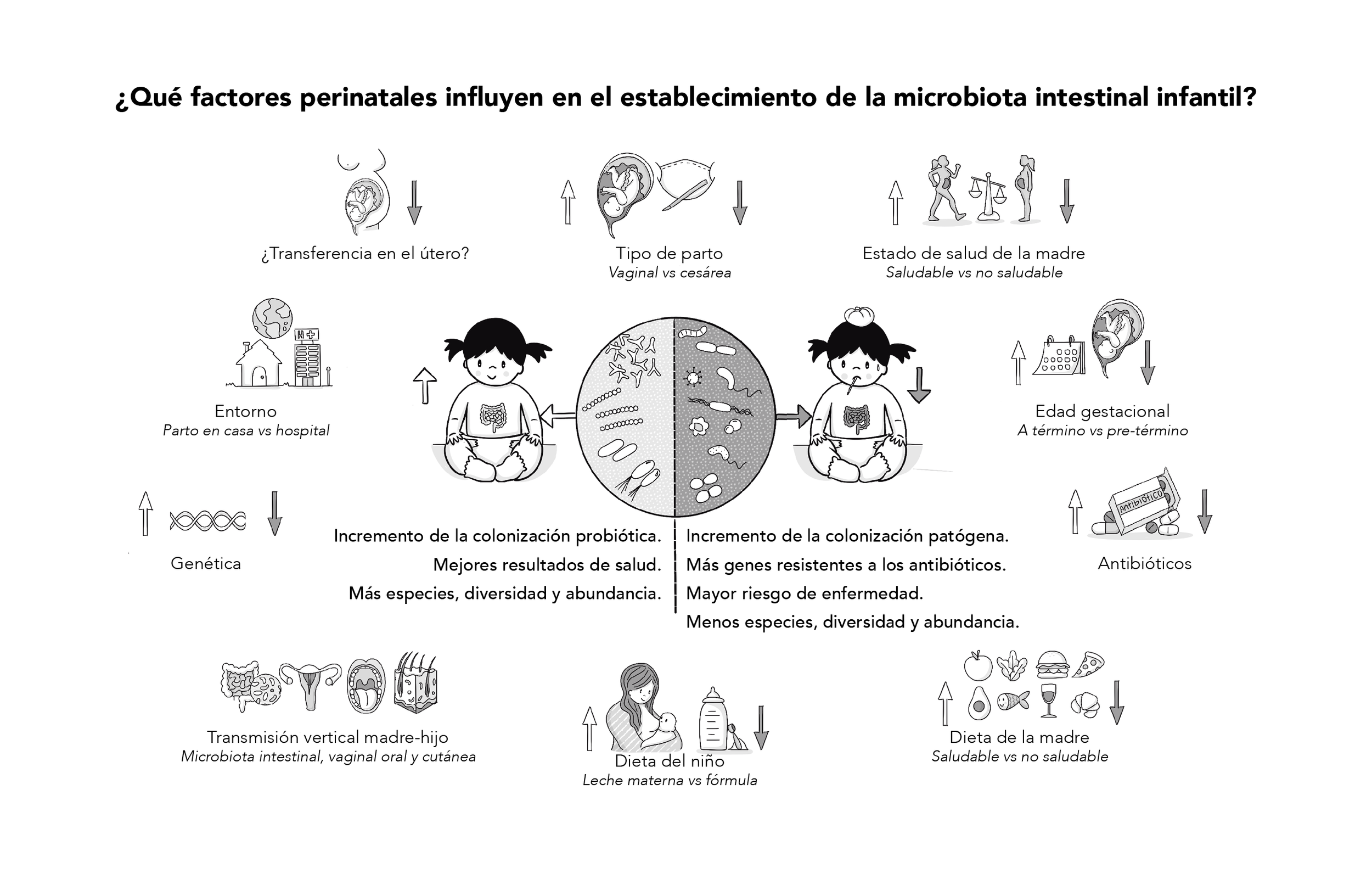 Capítulo 1 Figura 2.png