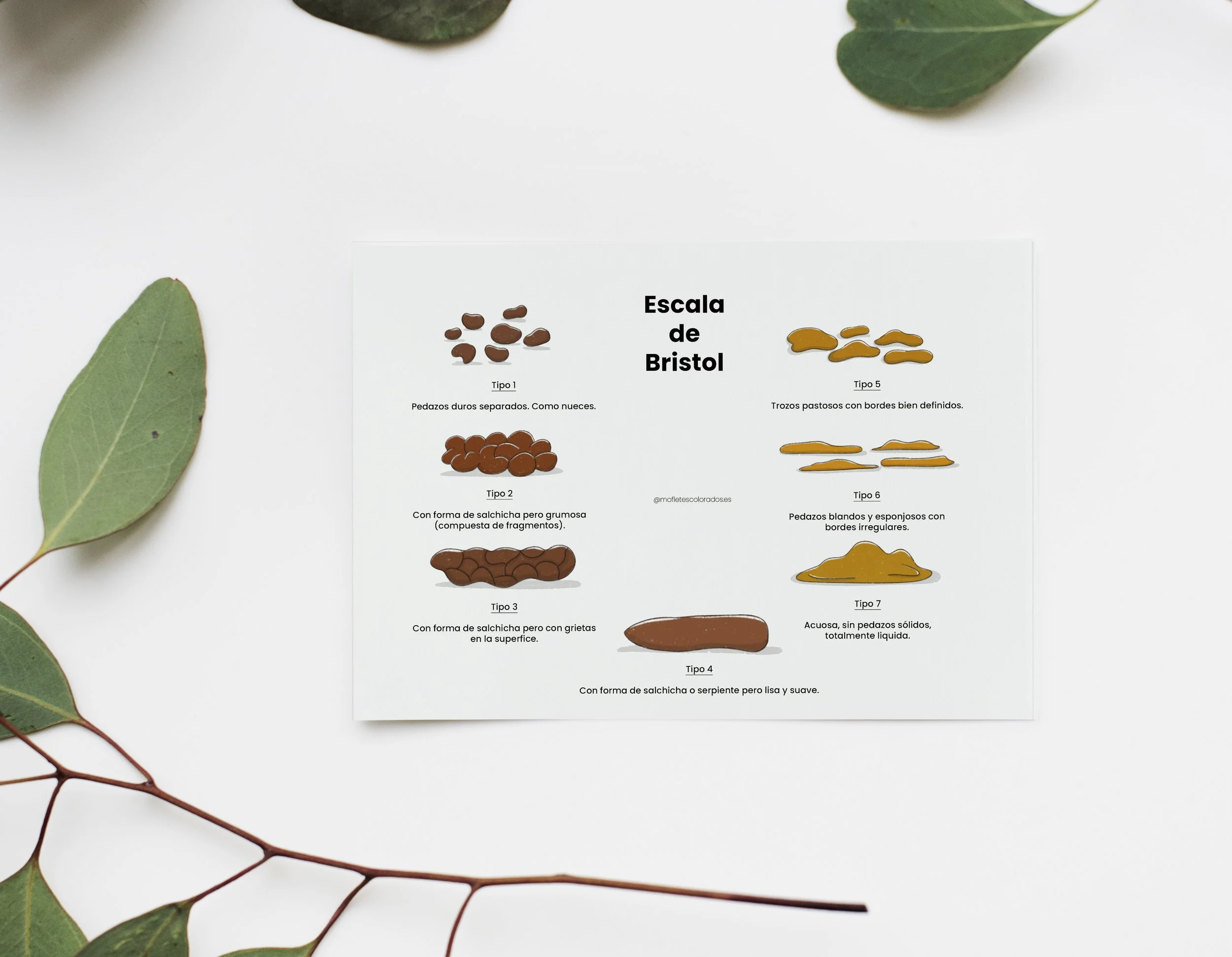 escala de Bristol.mockup.jpg