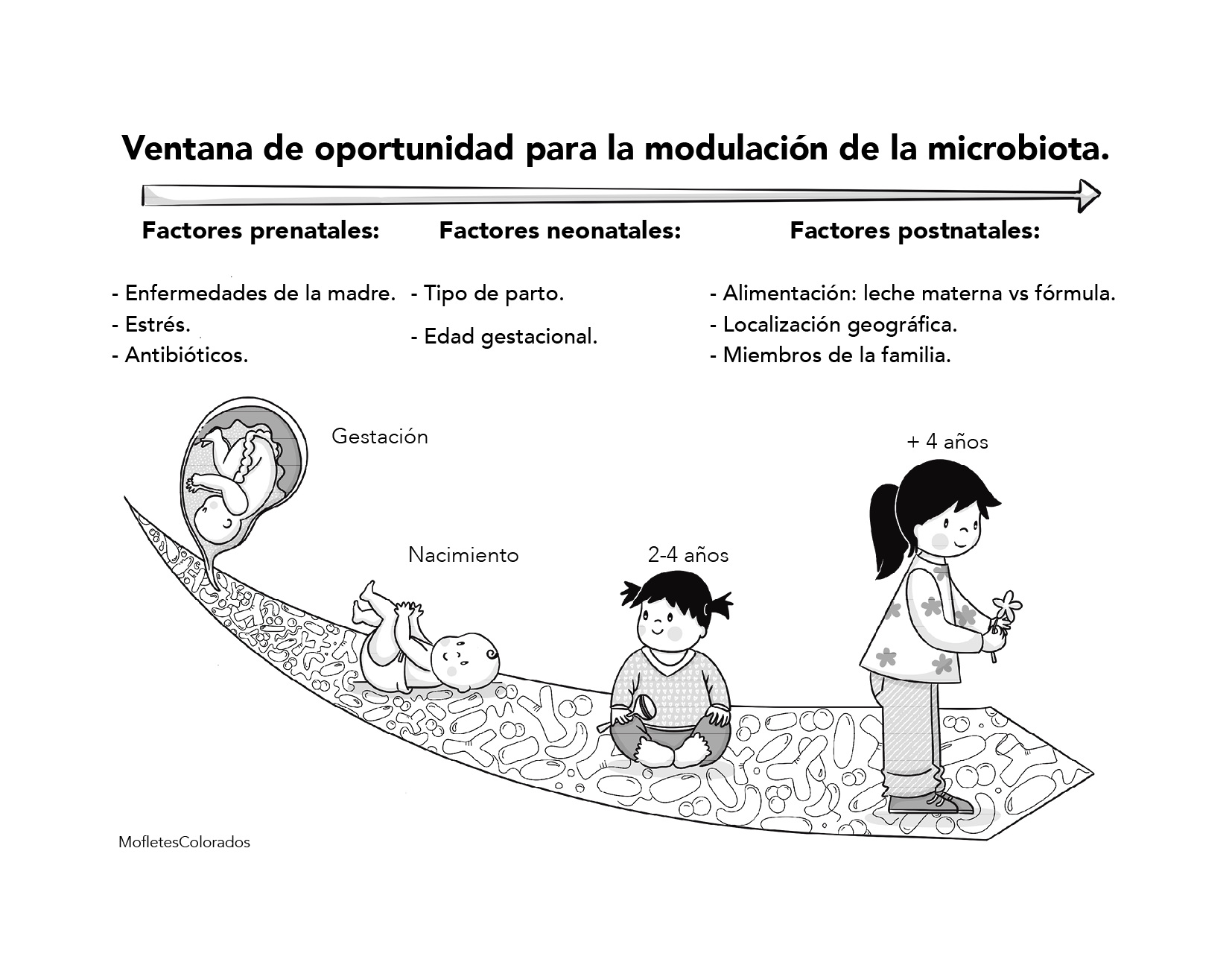 Capítulo 1 Figura 1.png