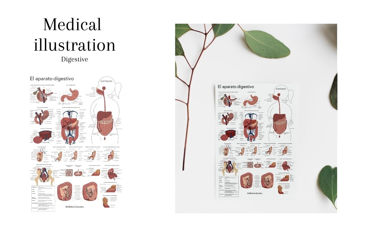 Captura de pantalla 2025-11-04 a las 12.17.10.png