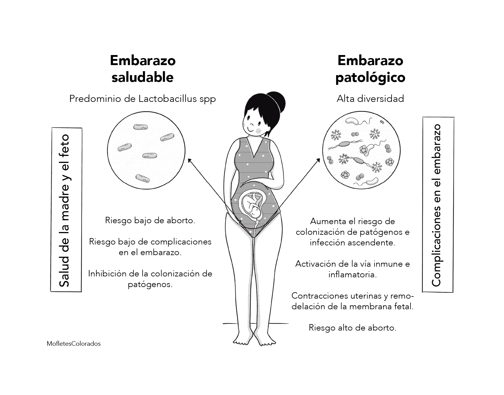 Capítulo 5 Figura 1.png