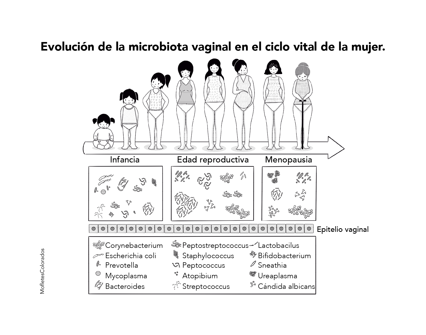 Capítulo 4 Figura 1.png