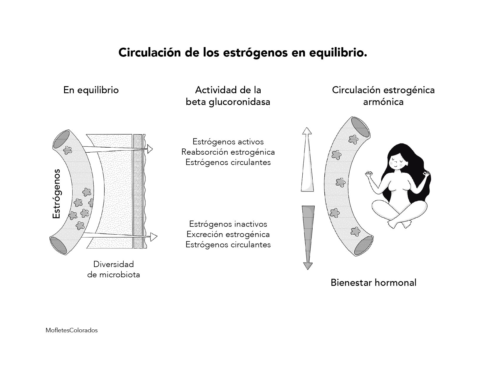 Capítulo 6 Figura 3.png